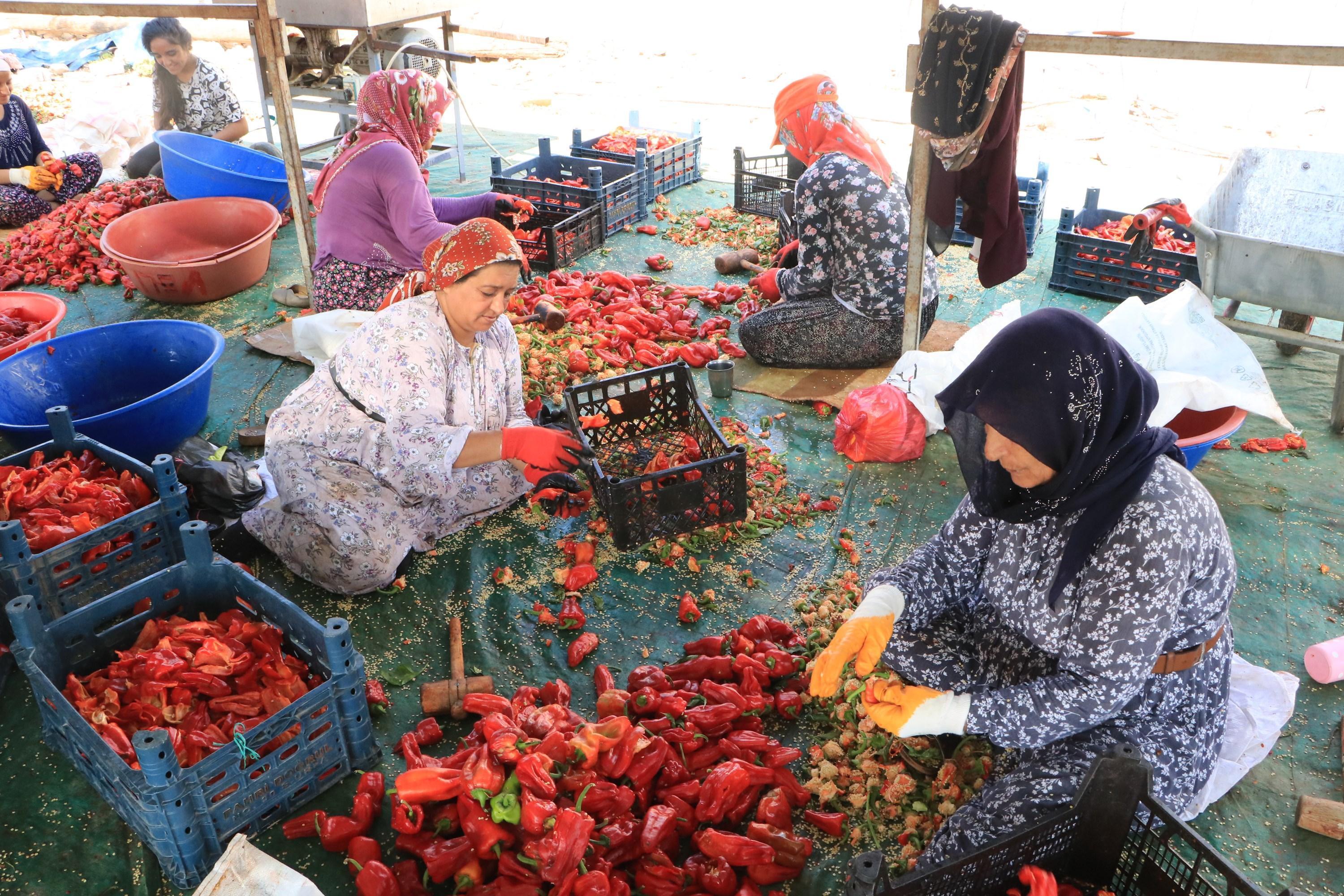 Şanlıurfada, acı mesaisi başladı