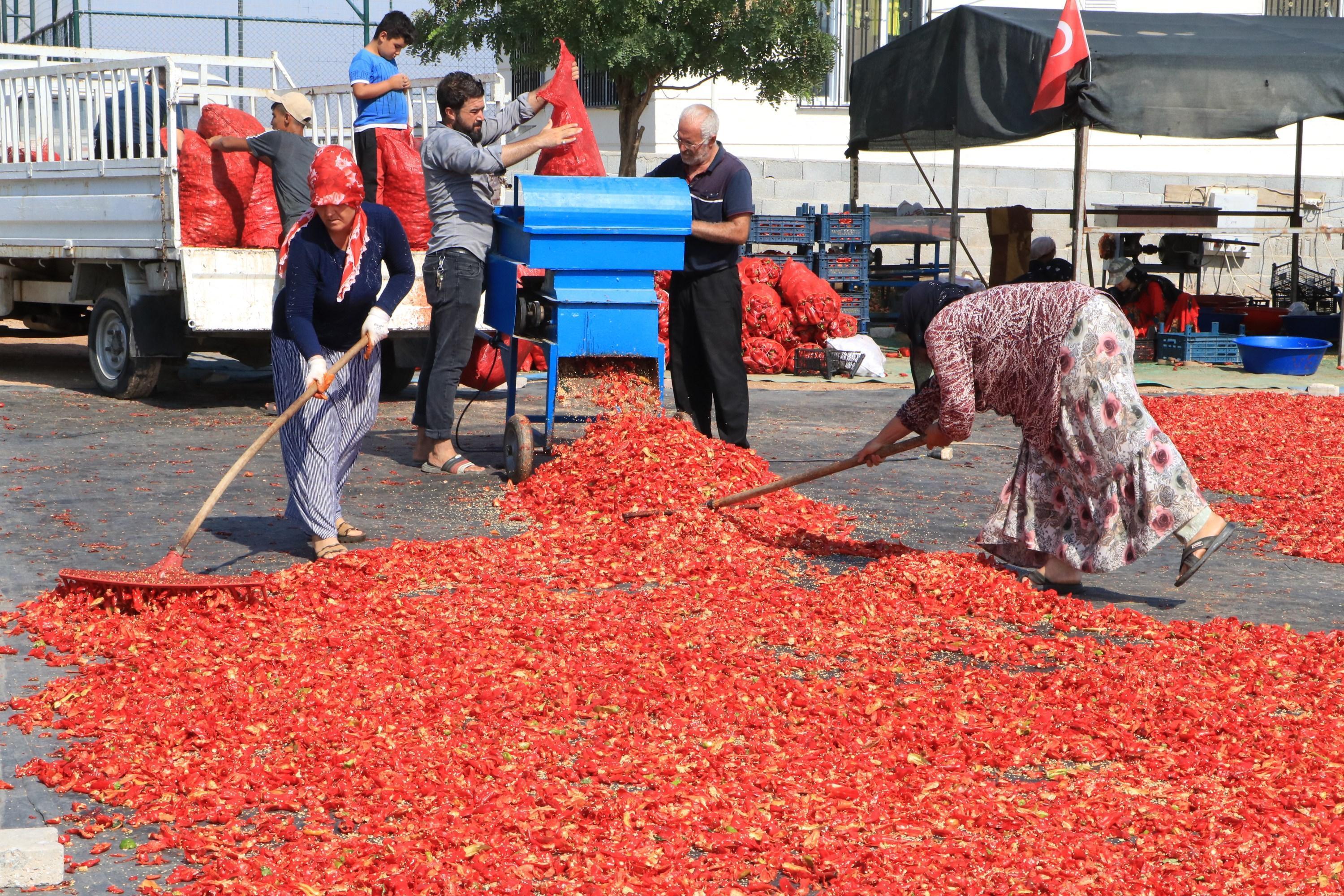 Şanlıurfada, acı mesaisi başladı