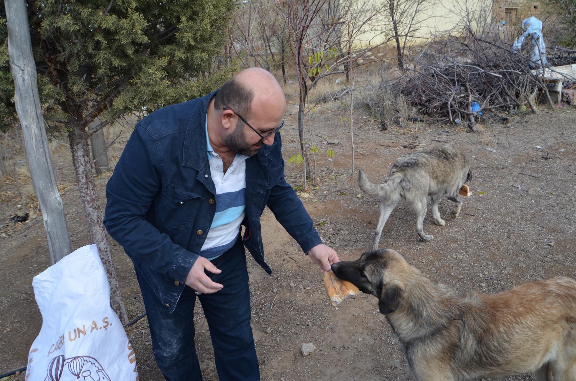 Mobilya ustası, 60 kilometre gidip, 30 köpeği gönüllü besliyor