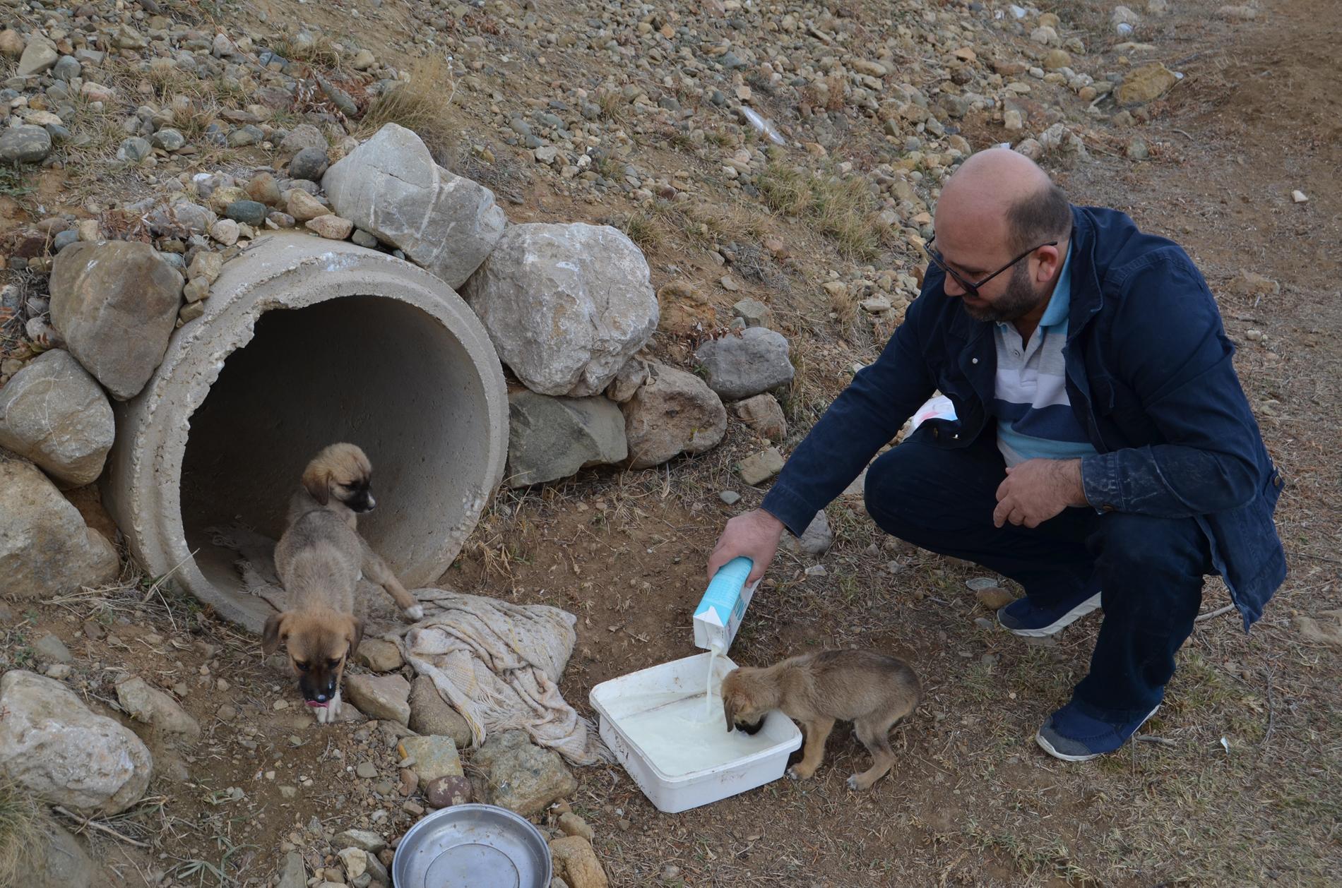 Mobilya ustası, 60 kilometre gidip, 30 köpeği gönüllü besliyor