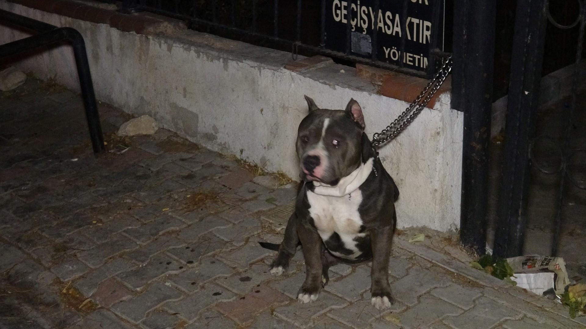 İzmirde sokak ortasında silahlı saldırı: 1 ölü