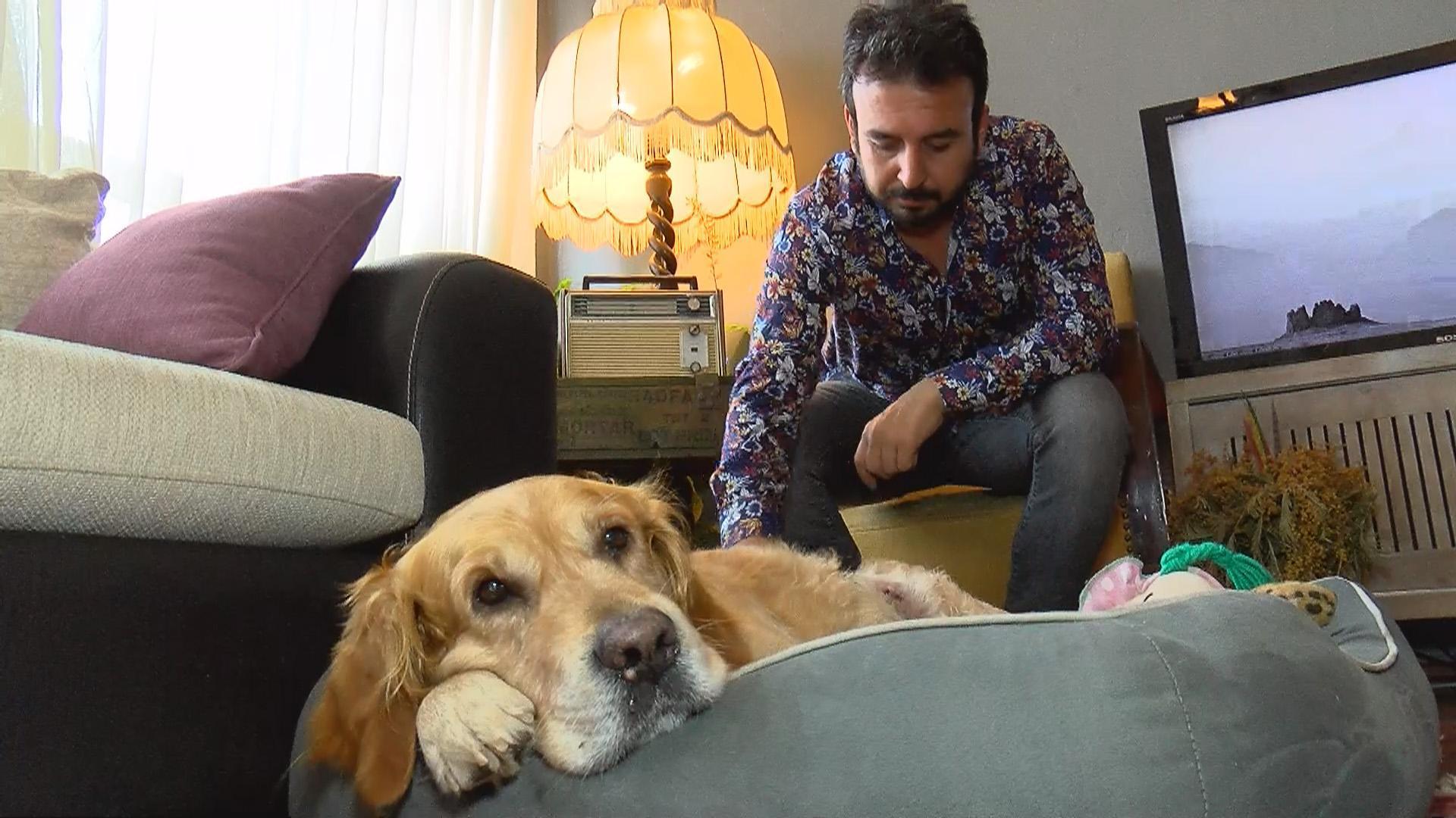 Kadıköy Modada köpek tartışması