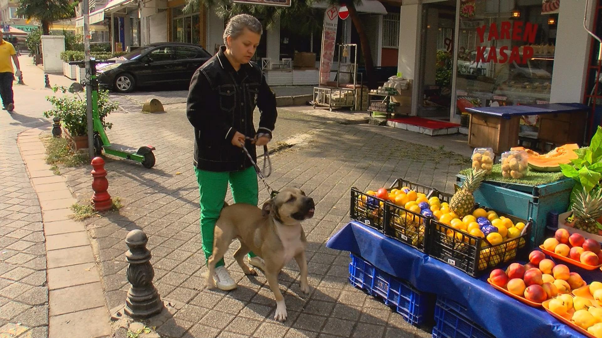 Kadıköy Modada köpek tartışması