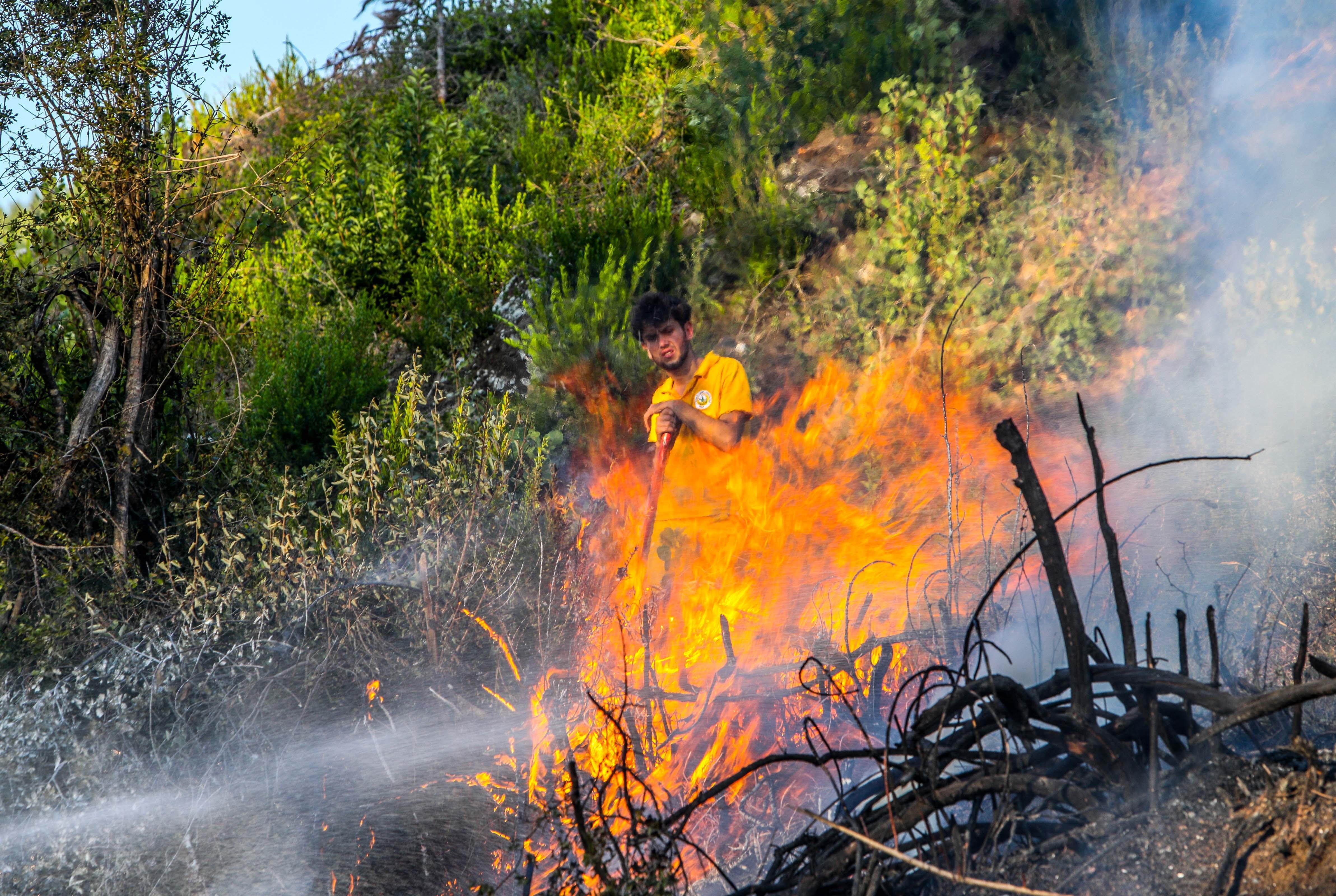 Bucakta orman yangını