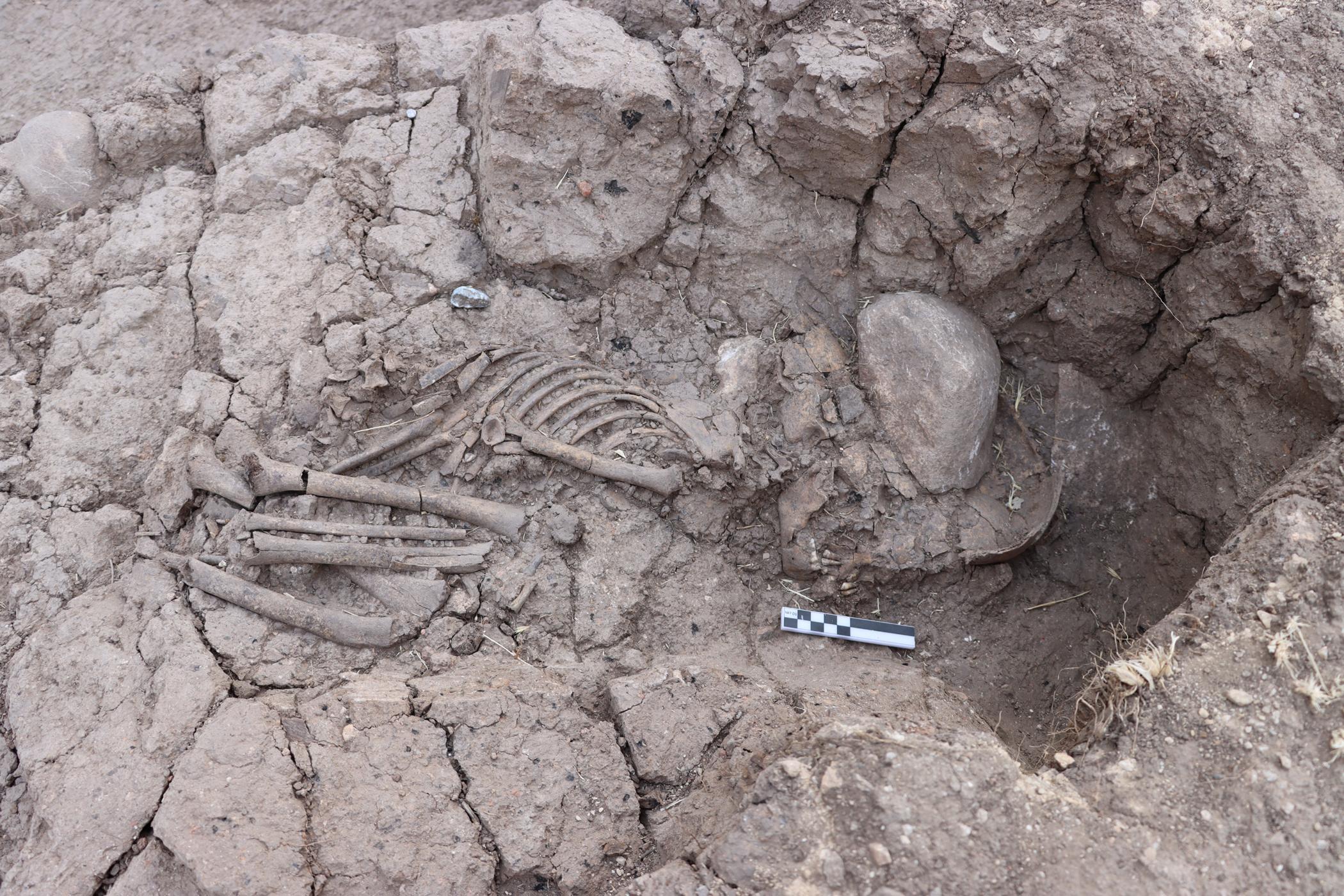 Tozkoparan Höyüğünde 5 bin 500 yıllık çocuk iskeleti bulundu