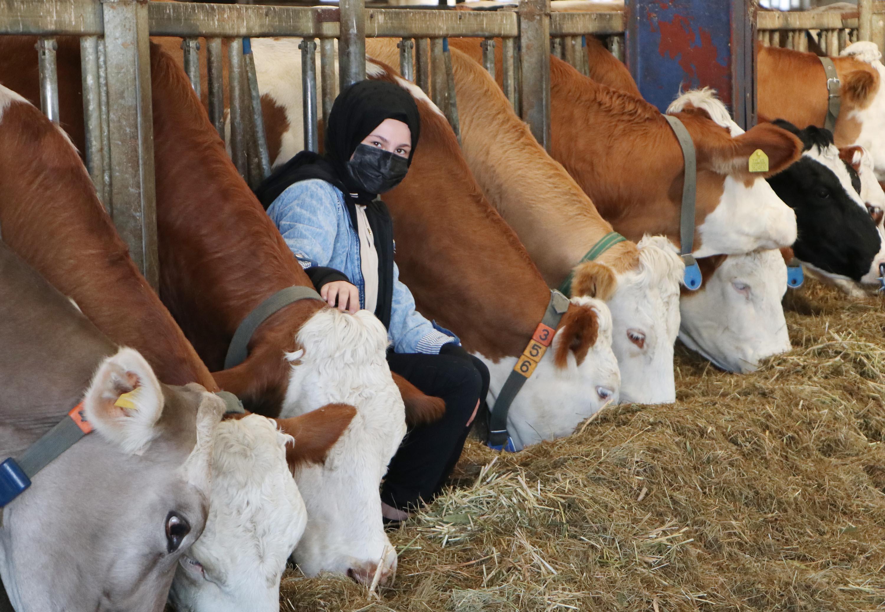 Lise öğrencilerini üniversiteyle tanıştıran proje