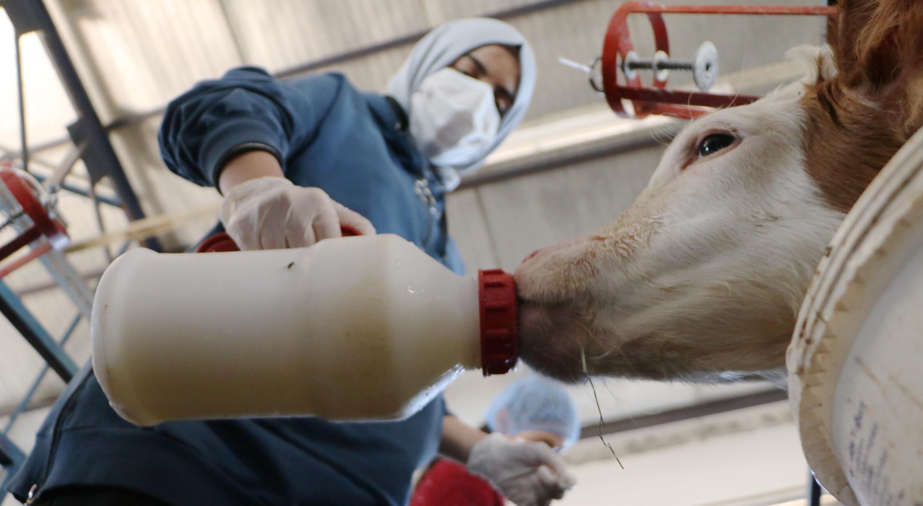 Lise öğrencilerini üniversiteyle tanıştıran proje