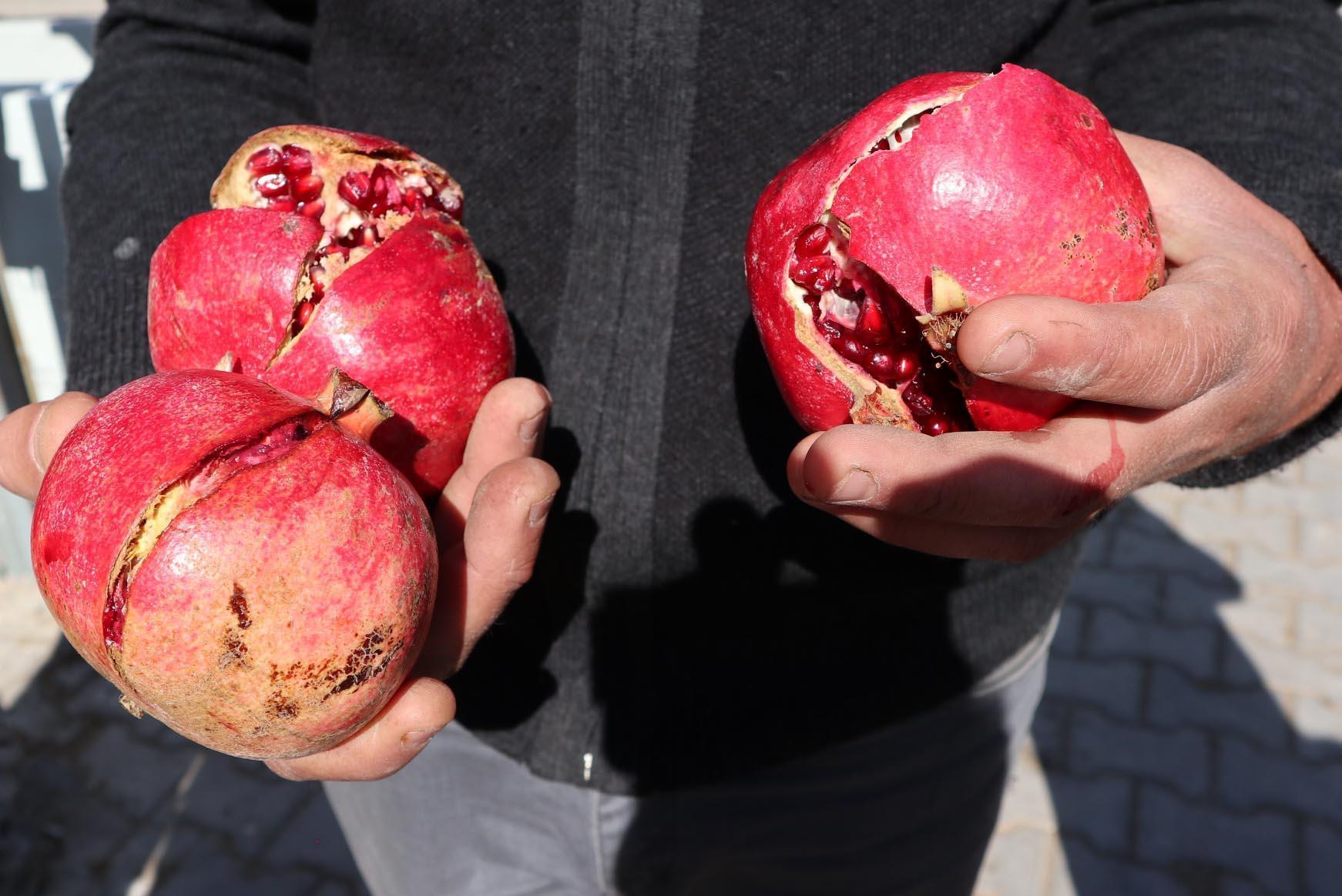 Salihanın nardaki ilaçtan ölümü adli tıp raporuyla kesinleşti