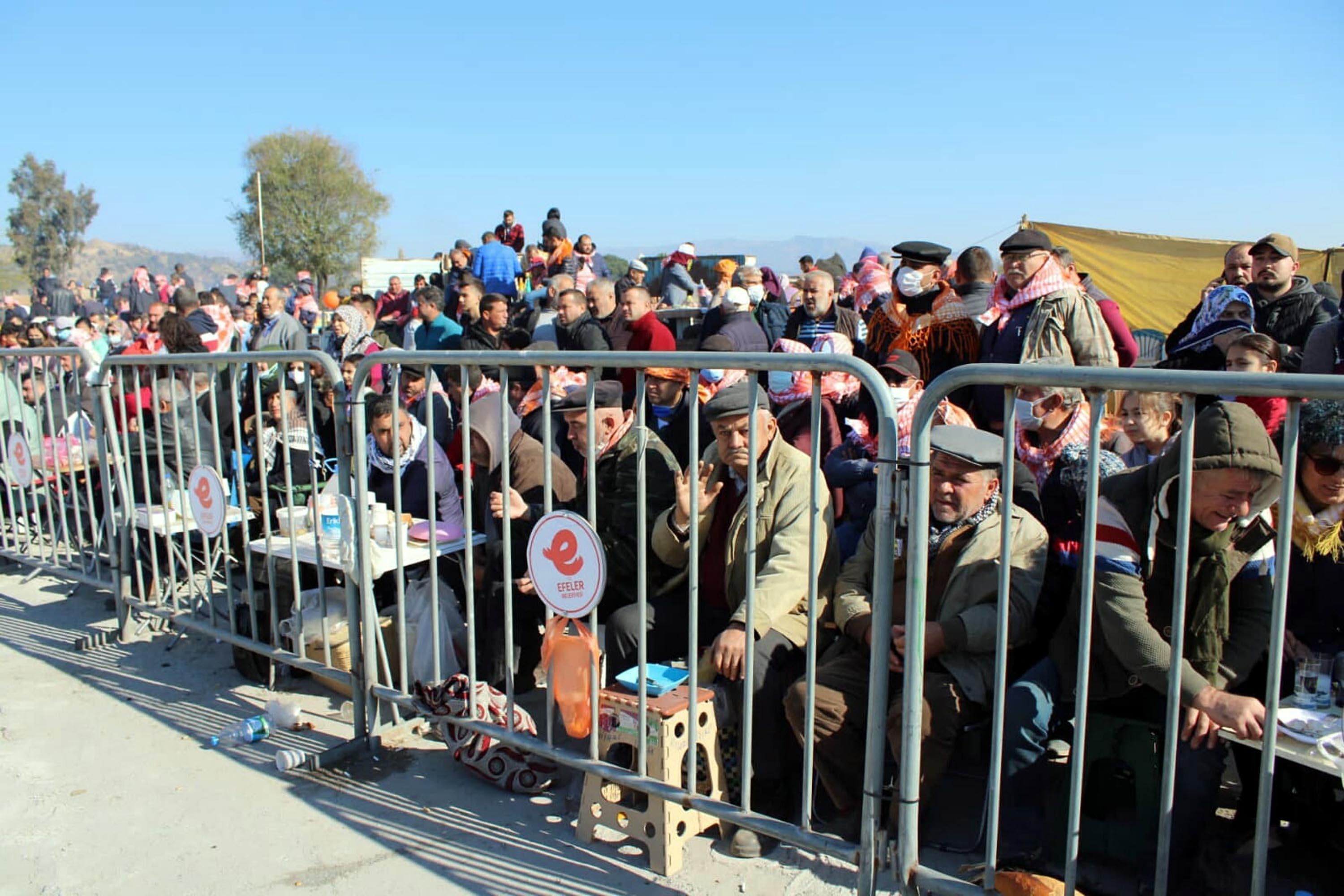 Aydında 1 yıl aradan sonra develer yeniden arenada