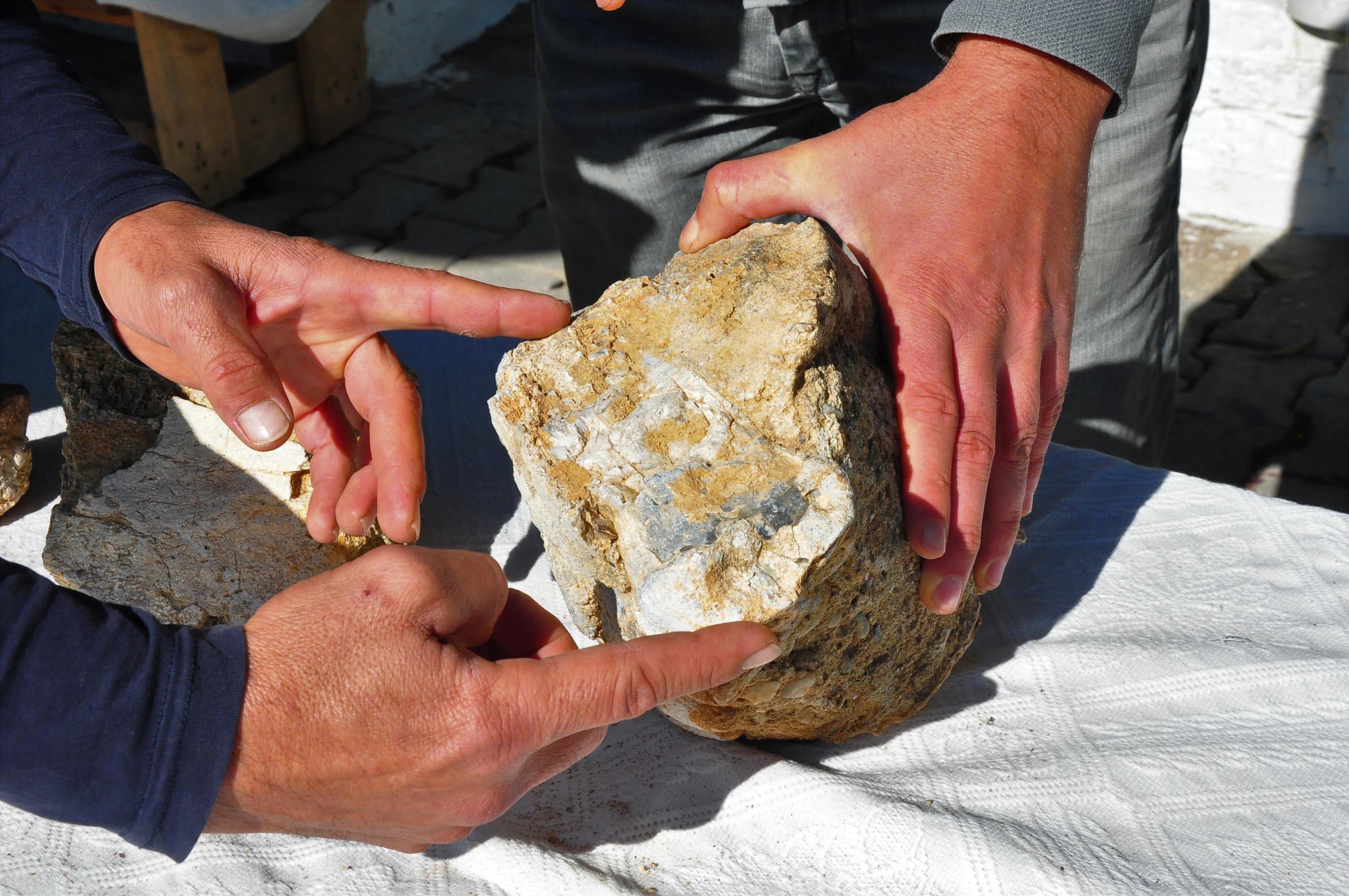 10 yaşındaki Elçinin bulduğu kaya parçası için milyonlarca yıllık fosil incelemesi