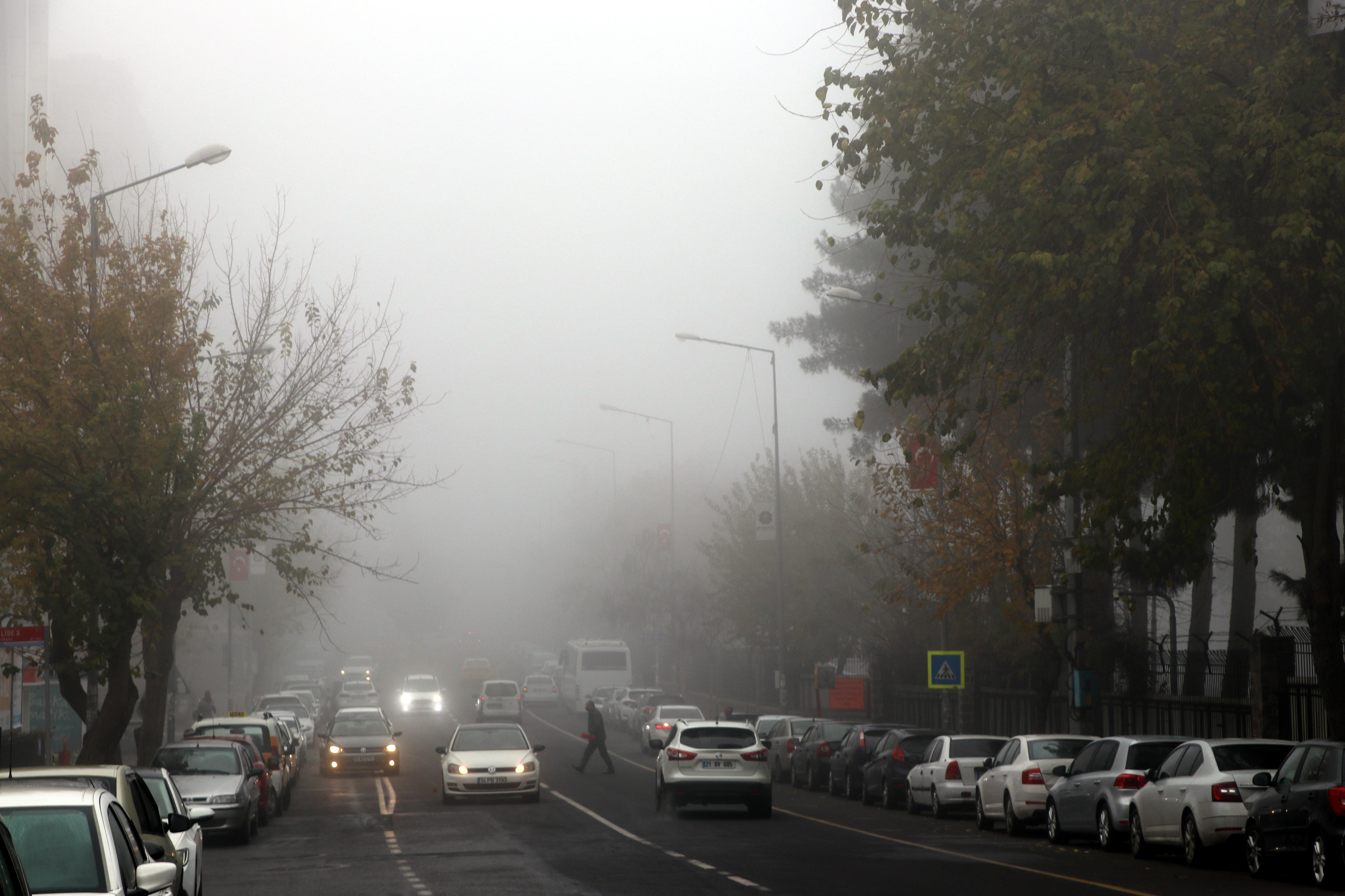 Mardin ve çevre illerde yoğun sis; 3 kentte uçak seferleri iptal edildi