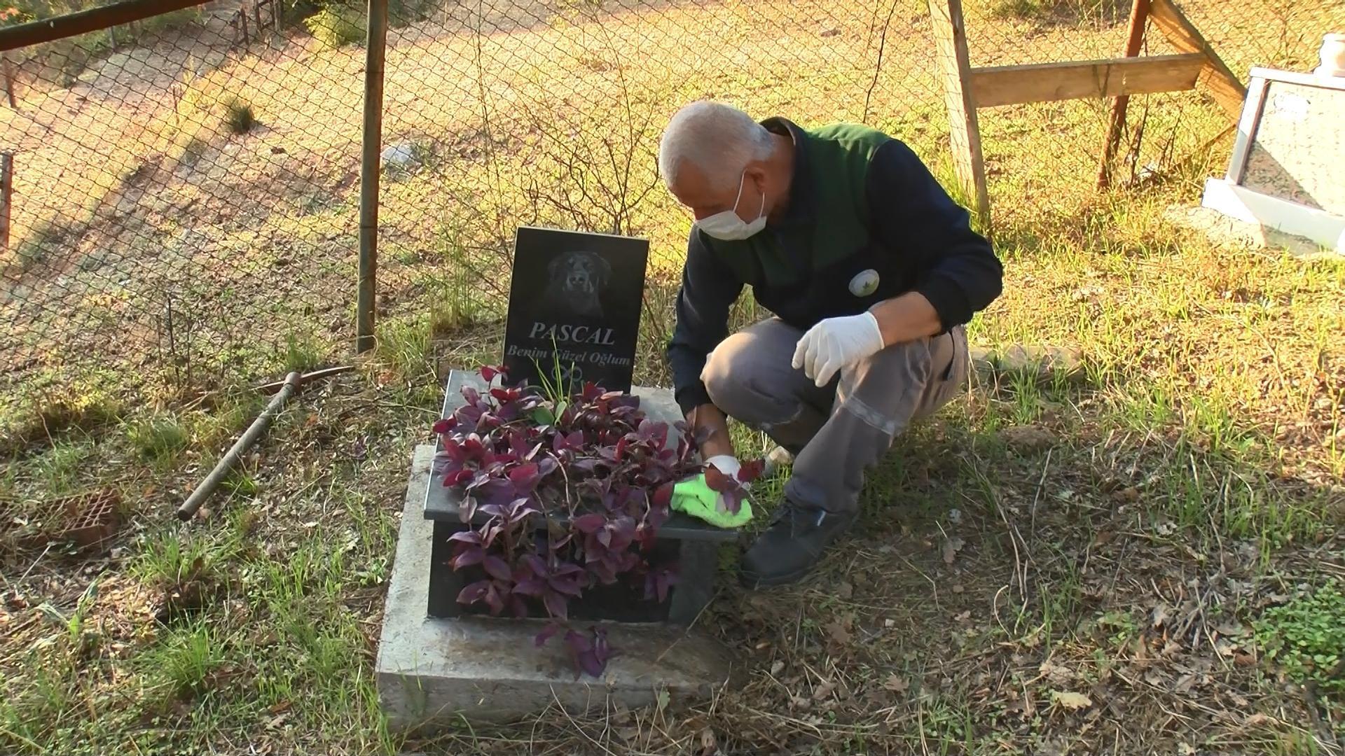 Evcil hayvan mezarlığında duygulandıran yazılar