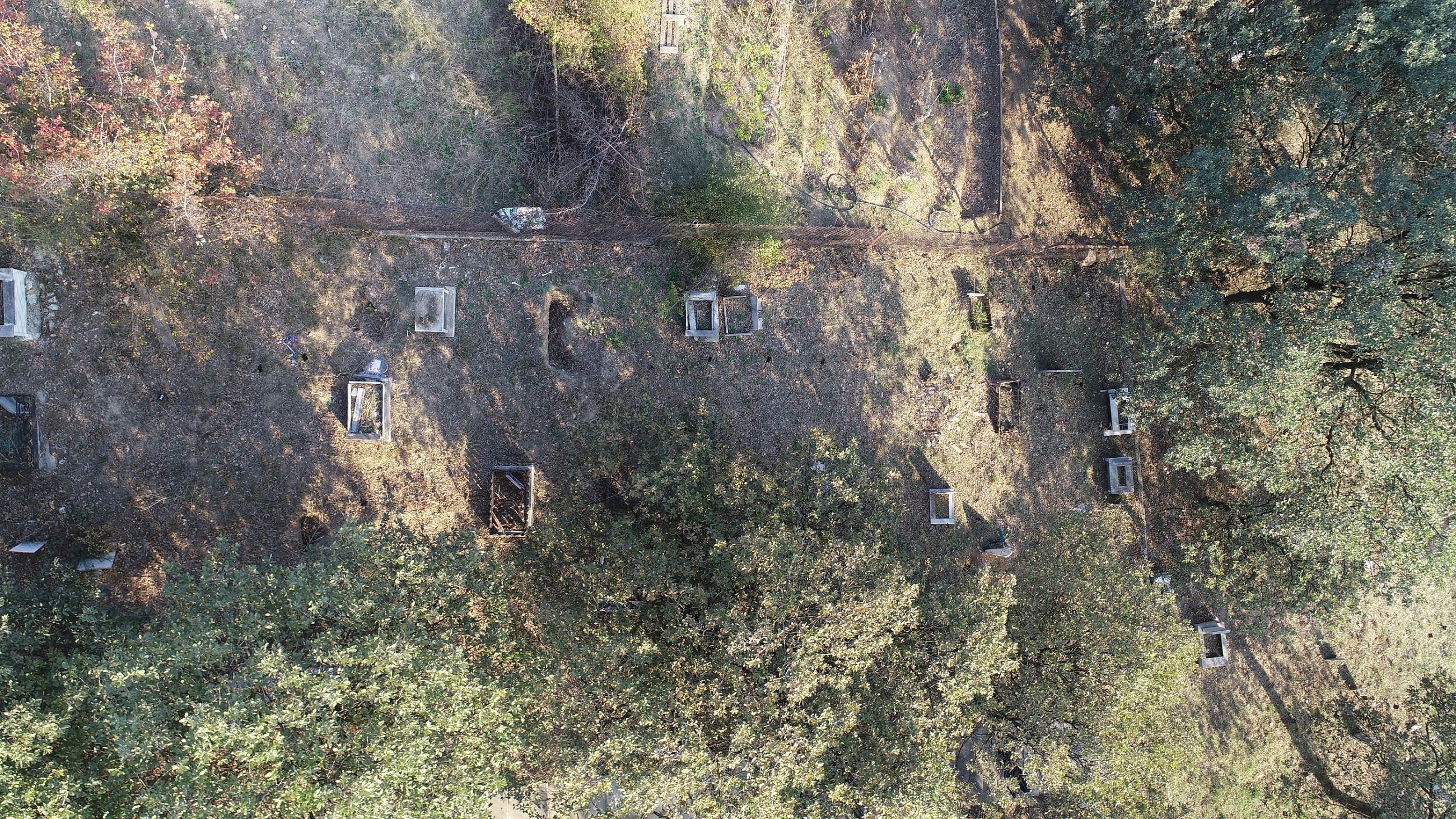 Evcil hayvan mezarlığında duygulandıran yazılar