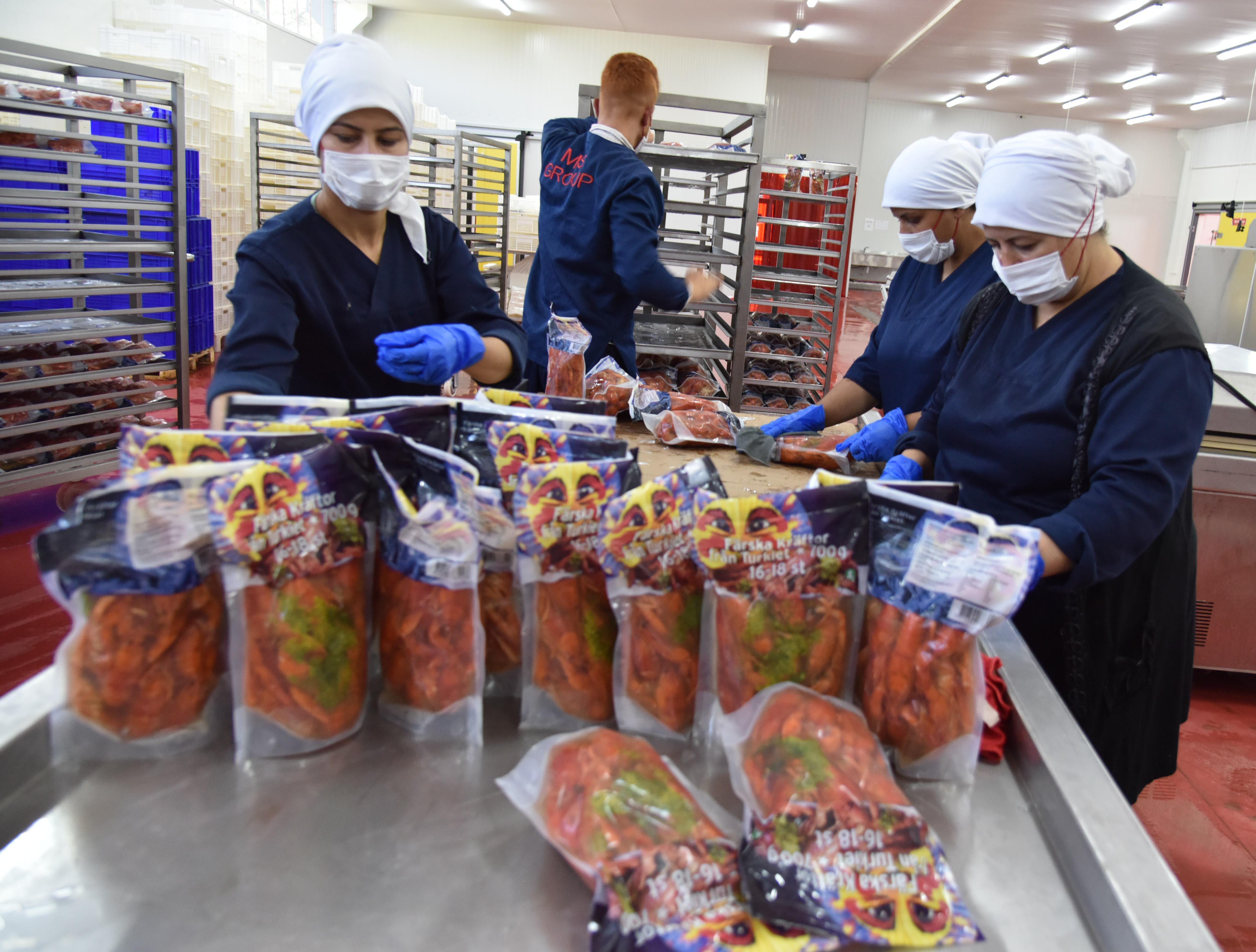 Eğirdir Gölünden dünyaya, haftada 25 ton kerevit