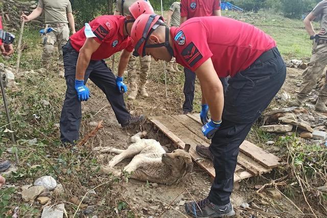 Bartında selde kaybolan yaşlı kadını arama çalışmaları sürüyor