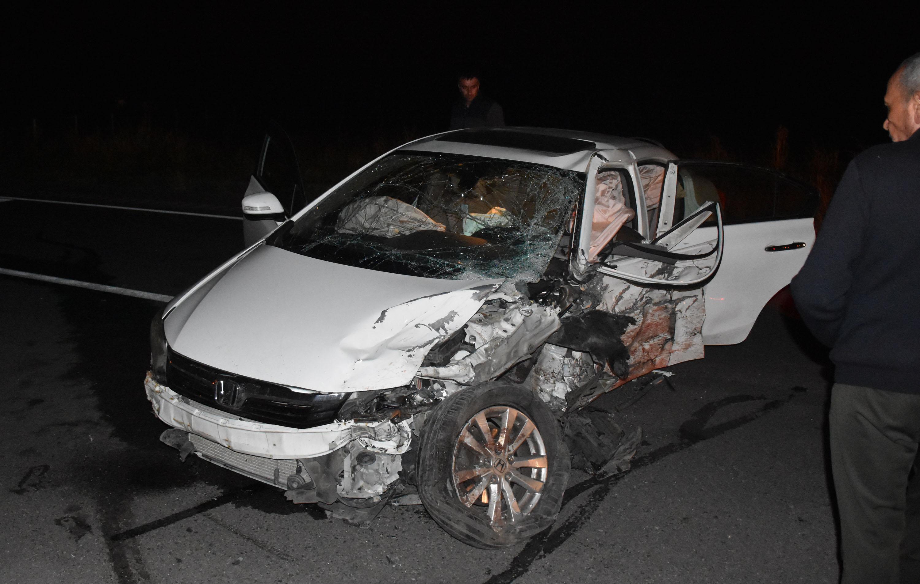 Yola çıkan domuz sürüsü kazaya neden oldu: 6 yaralı