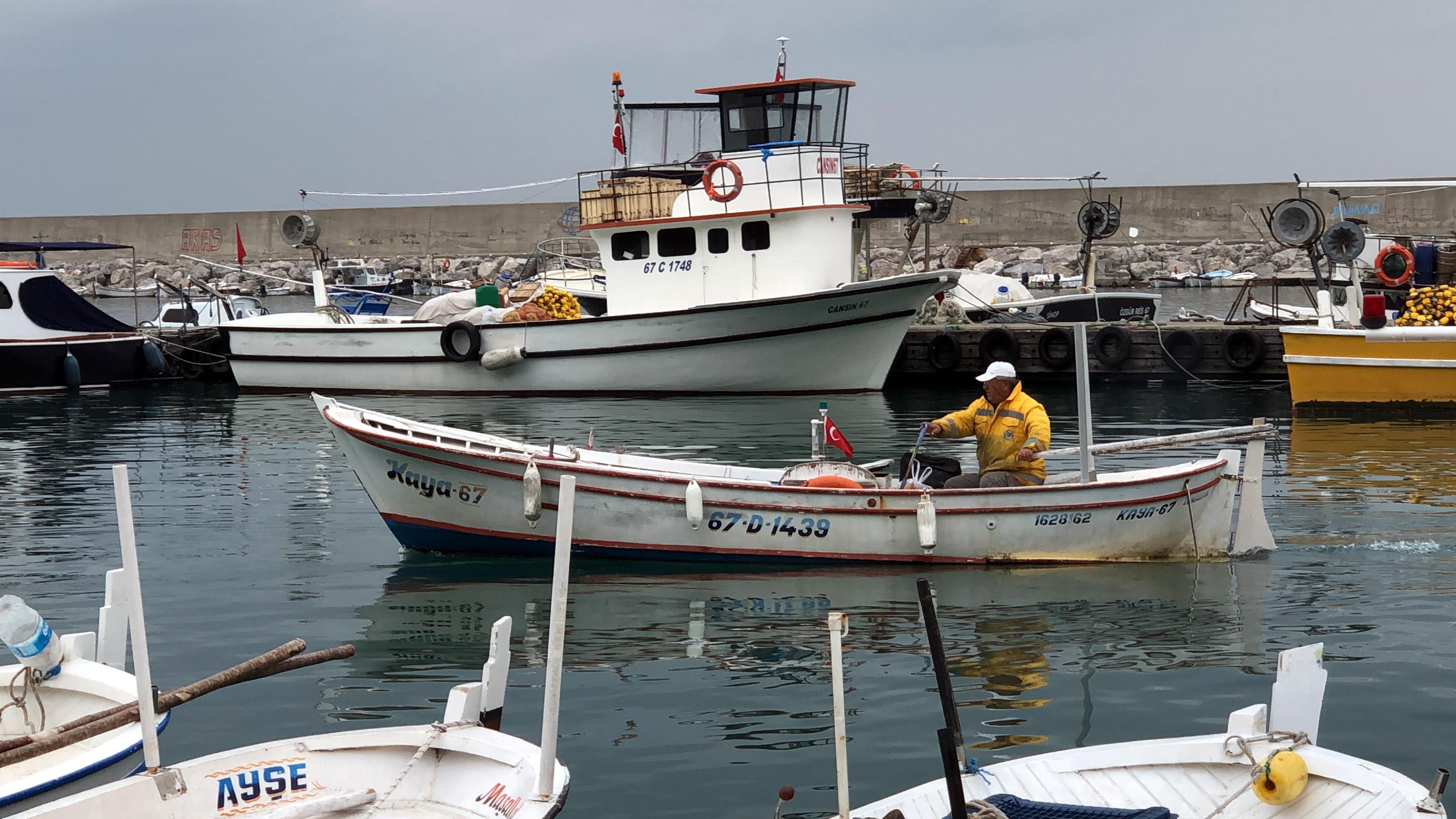 Zonguldakta balıkçıların umudu mezgit ve çinekop