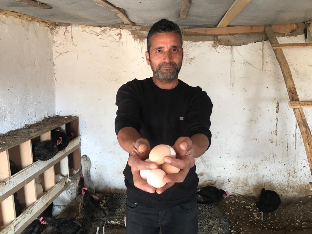 Gazeteciydi, tavuk çiftliği kurdu