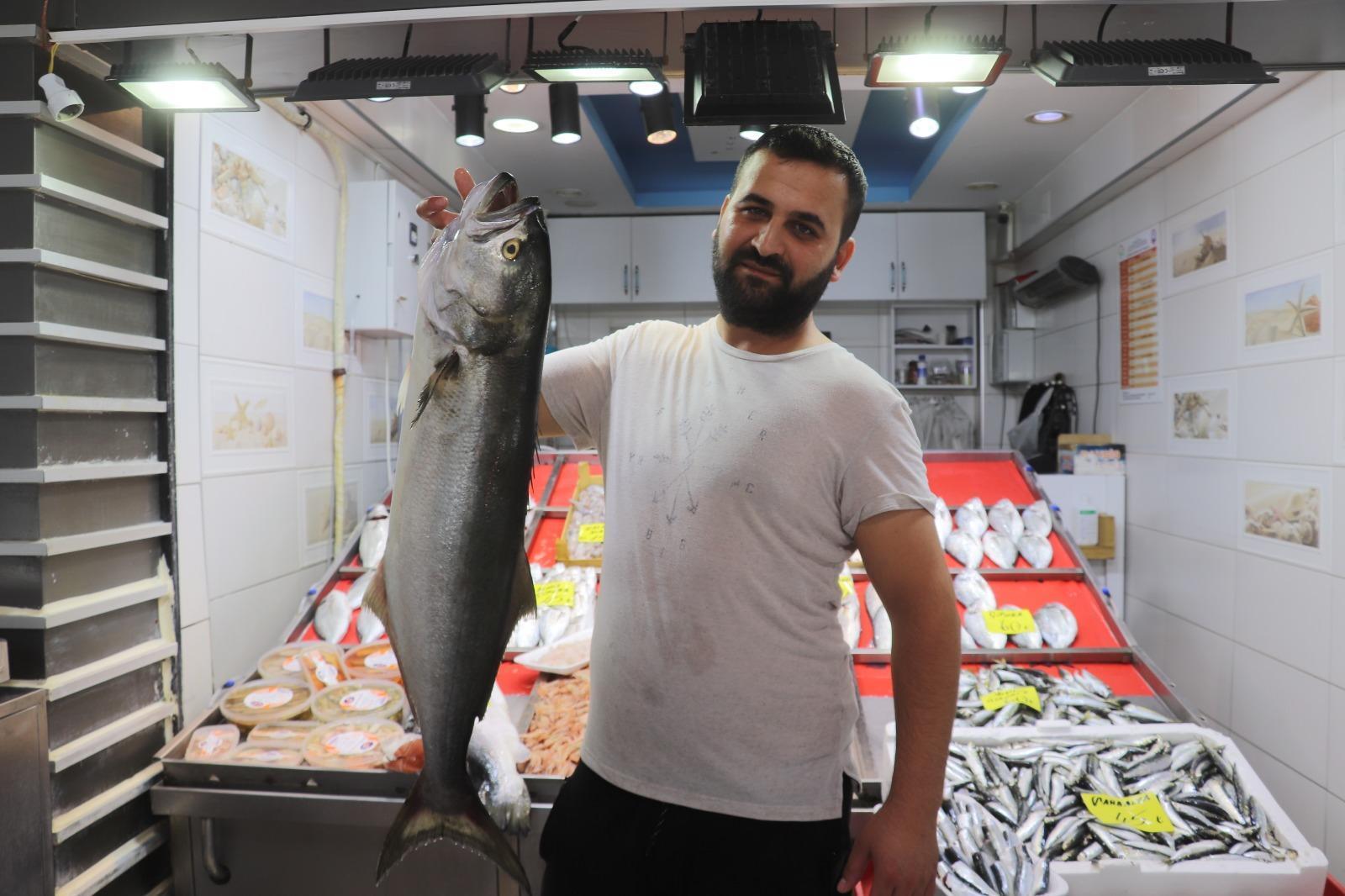 Çanakkalede 6 kiloluk sırtıkara 900 liradan satışa sunuldu