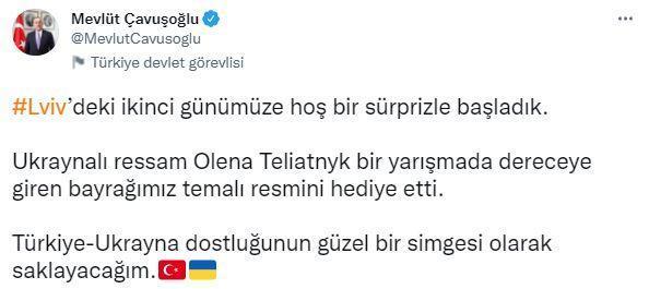 Ukraynalı ressamdan Bakan Çavuşoğlu’na resim hediyesi