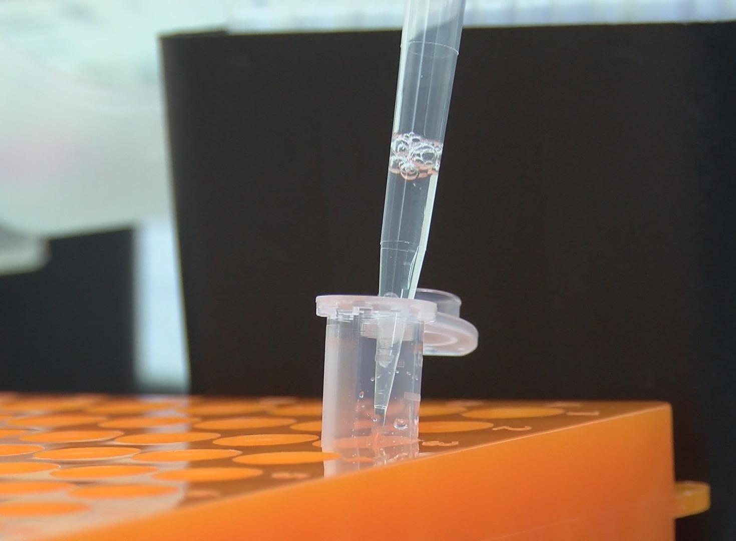 TÜSEBin doğruluk oranı yüzde 100e yakın yeni PCR tanı kiti yolda