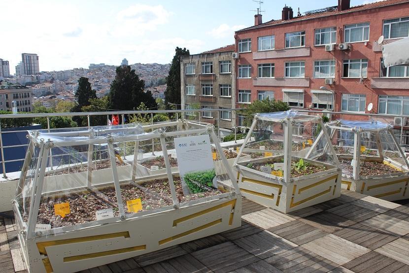 İstanbul’un merkezinde topraksız tarım