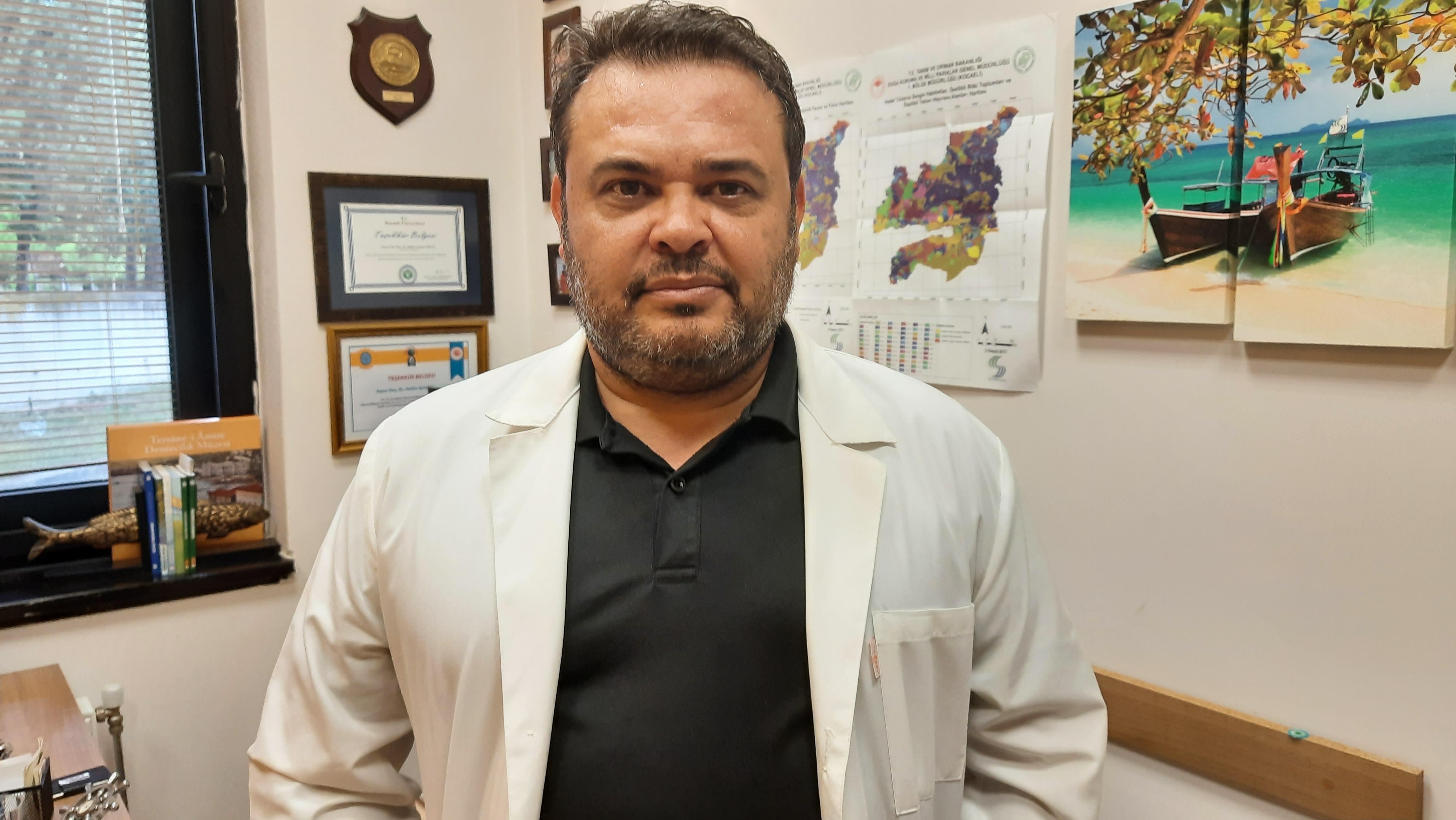 İzmit Körfezinde binlerce ölü denizanası kıyıya vurdu