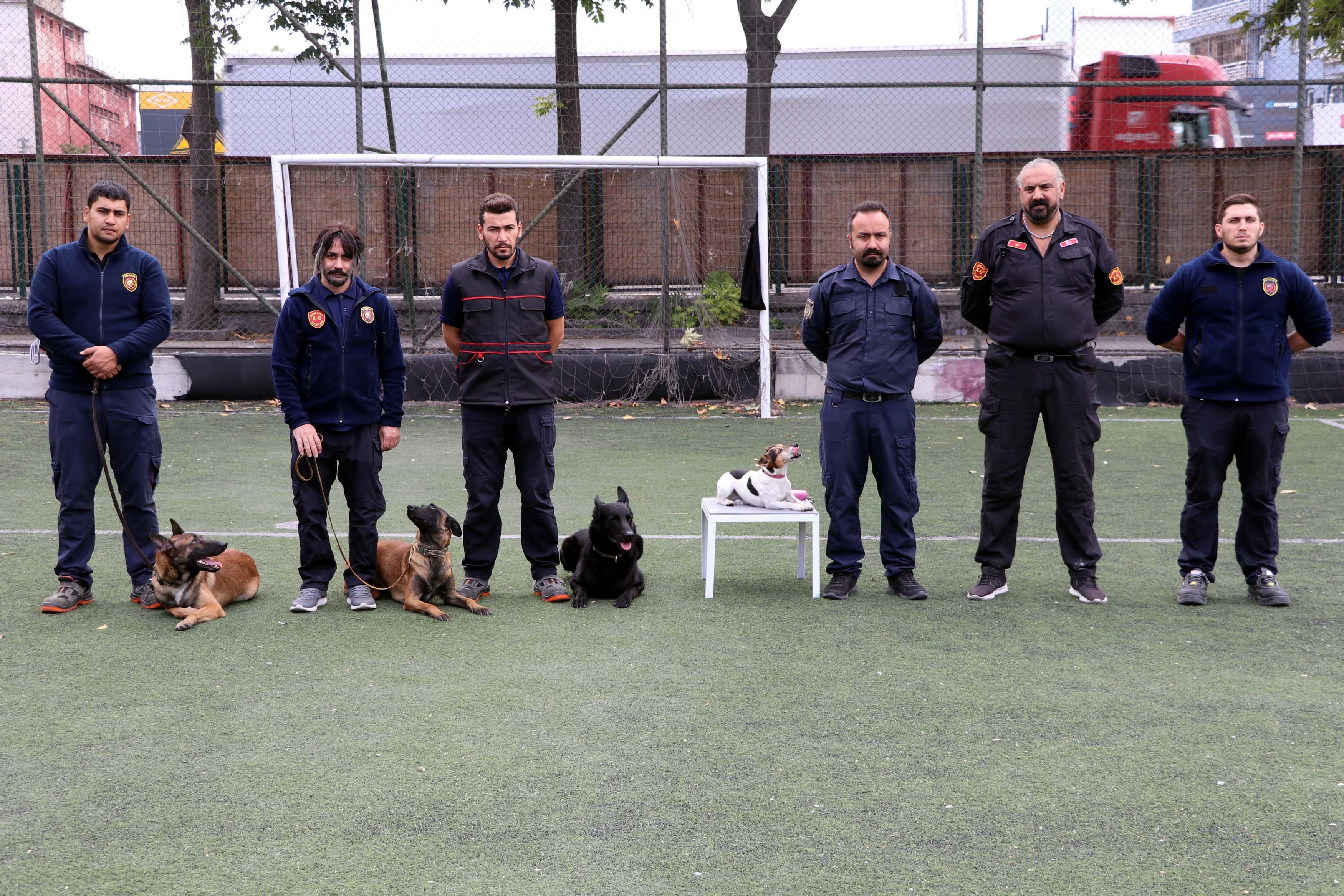 Ankaras smallest search and rescue dog Leon