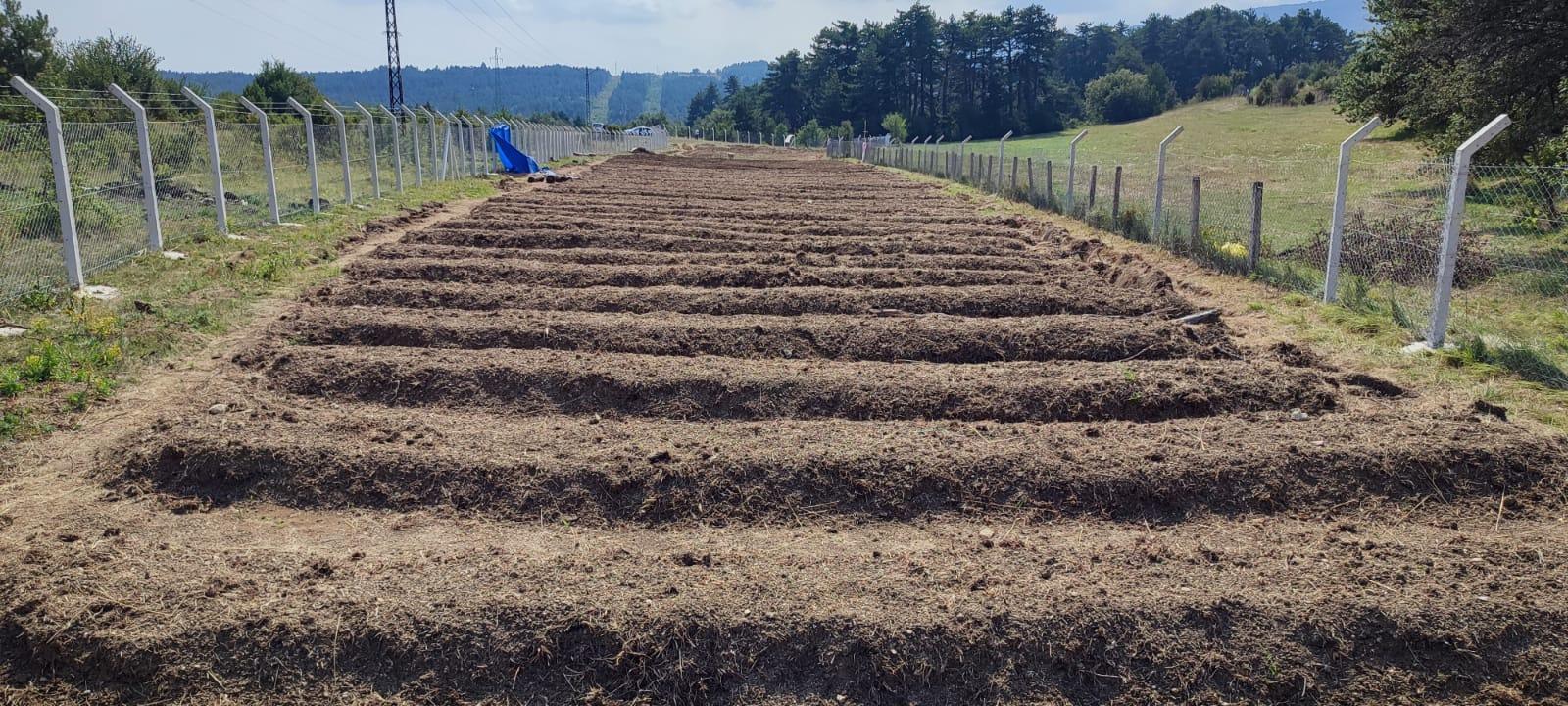 Bilgisayar mühendisi teknolojiyi safran tarlasına taşıdı