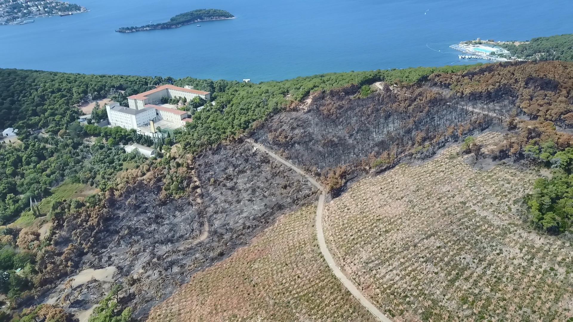 Heybeliadada 1700 ağaç yandı: Yeşillendirme çalışması başladı