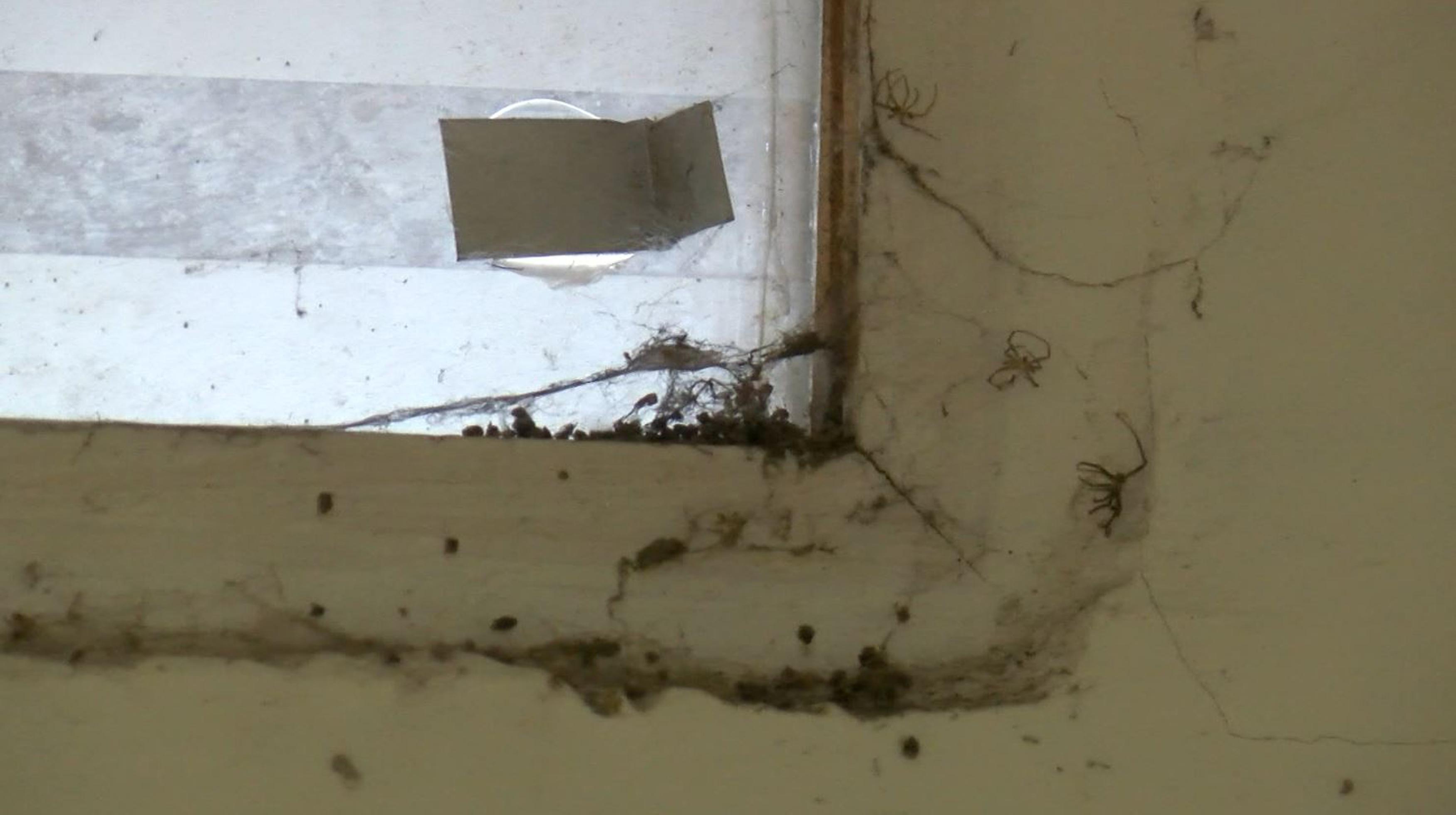 Doğa manzaralı dairenin gerçek yüzü