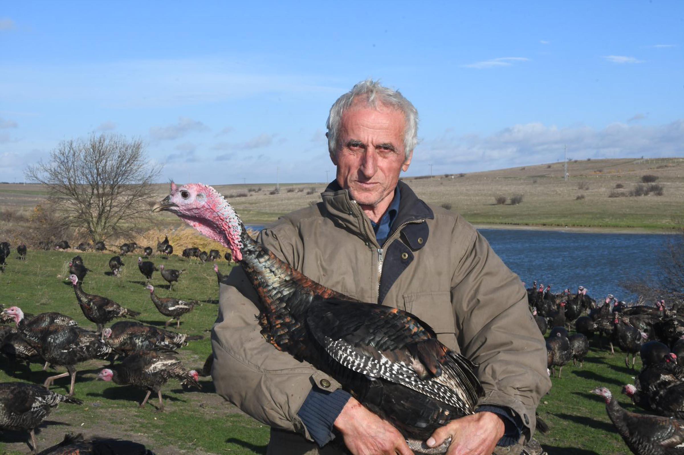 Yılbaşı hindisi 300 lira