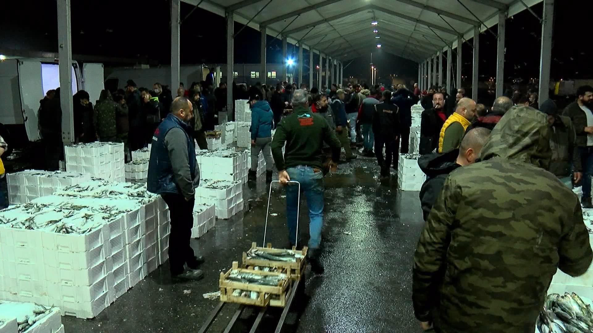 Hamsinin Türkiyeden ABDye 10 bin kilometre yolculuğu