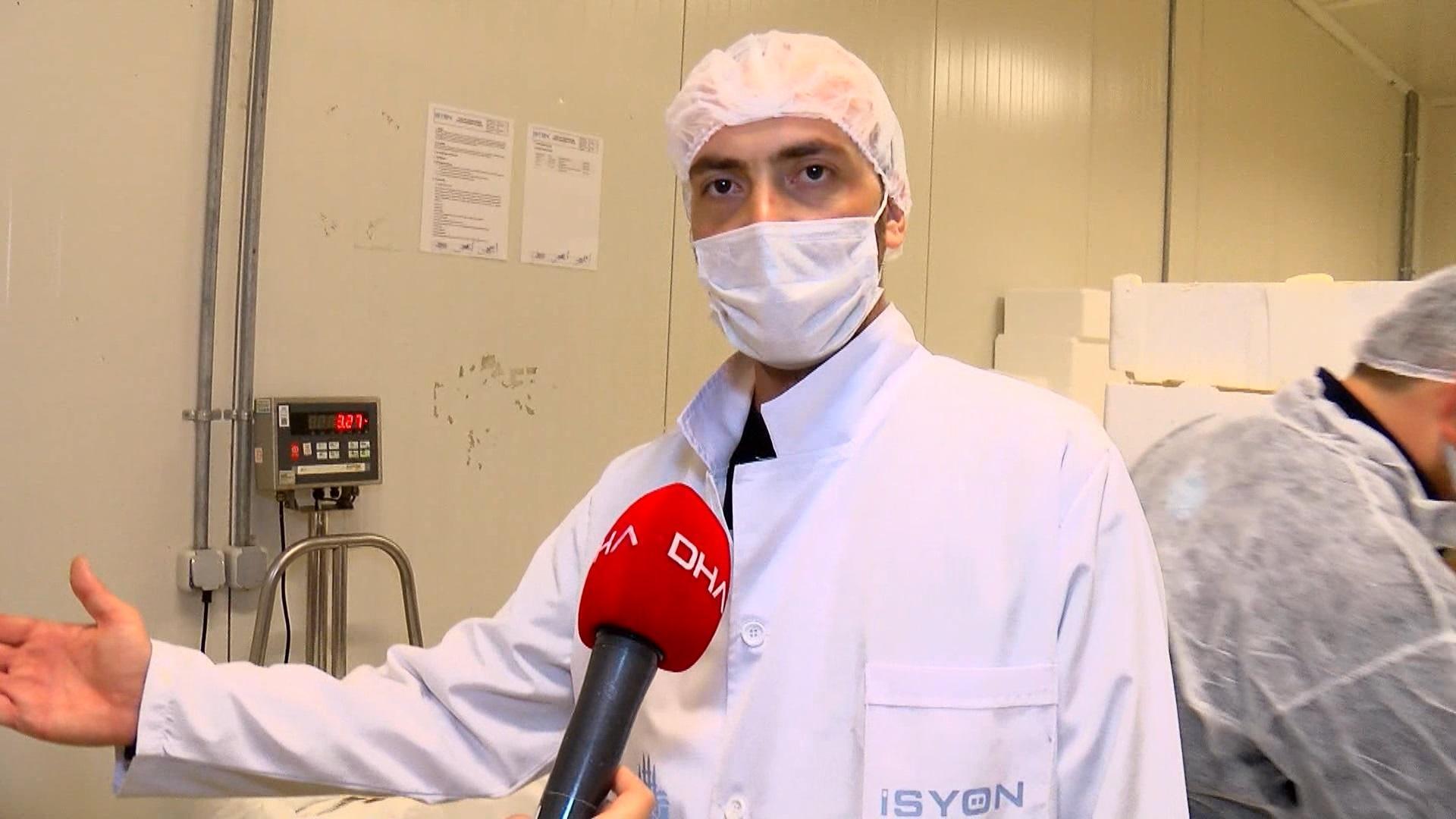 Hamsinin Türkiyeden ABDye 10 bin kilometre yolculuğu