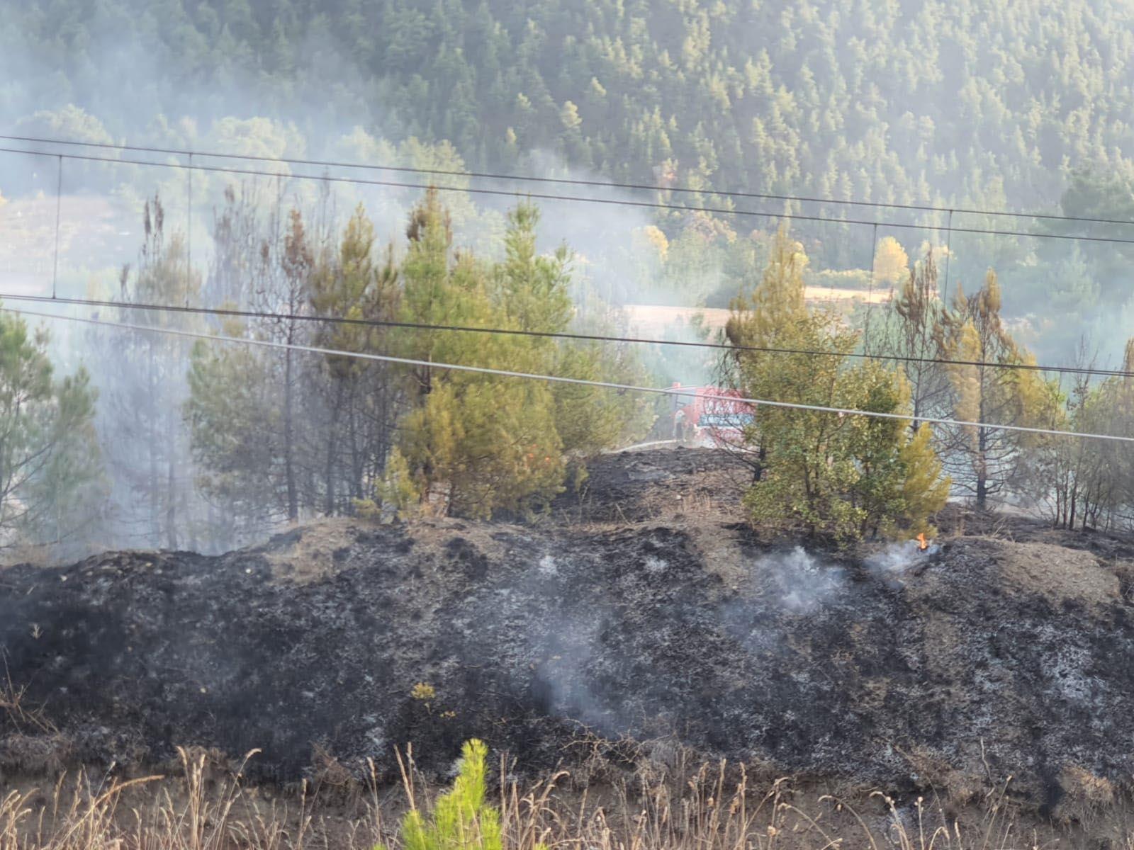 Kütahyada orman yangını; 4 farklı noktada alevler büyüyor