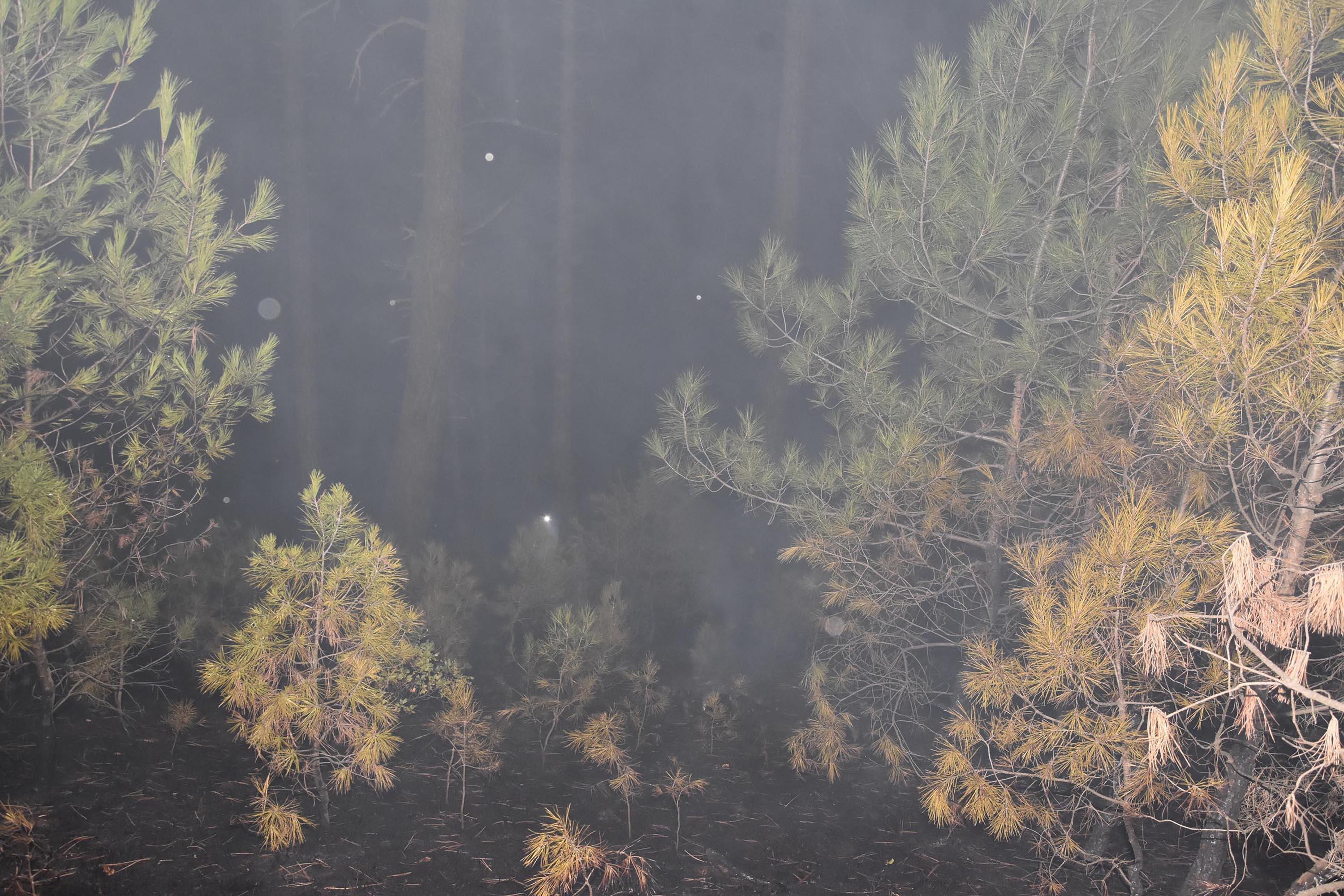 Kütahyada orman yangını; 4 farklı noktada alevler büyüyor