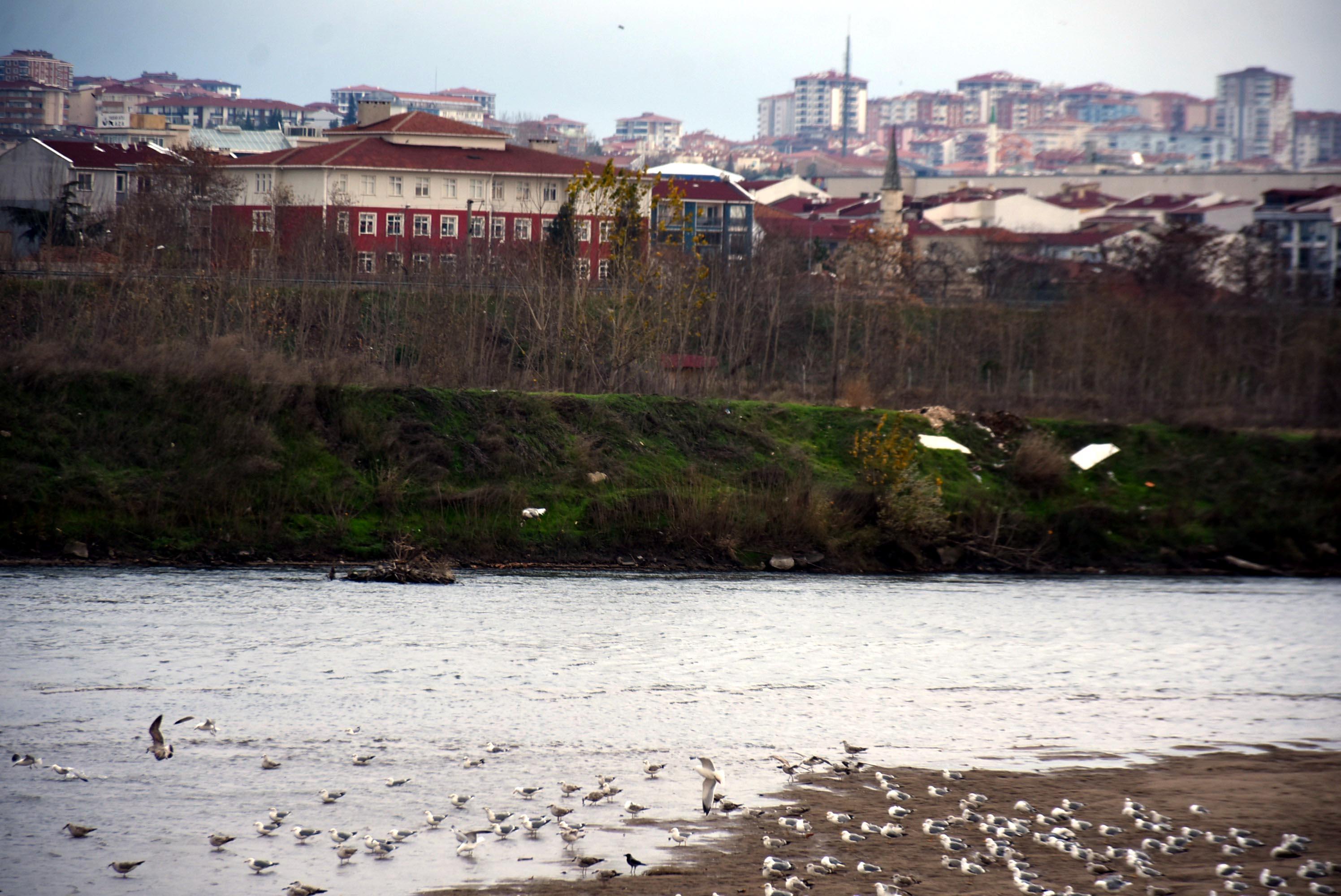 Doç. Dr. Uludağ: Nehir yatağı temizlenerek taşkın önlenemez