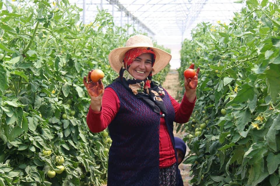 Kaymakam Elif, 55 kadını iş sahibi yaptı