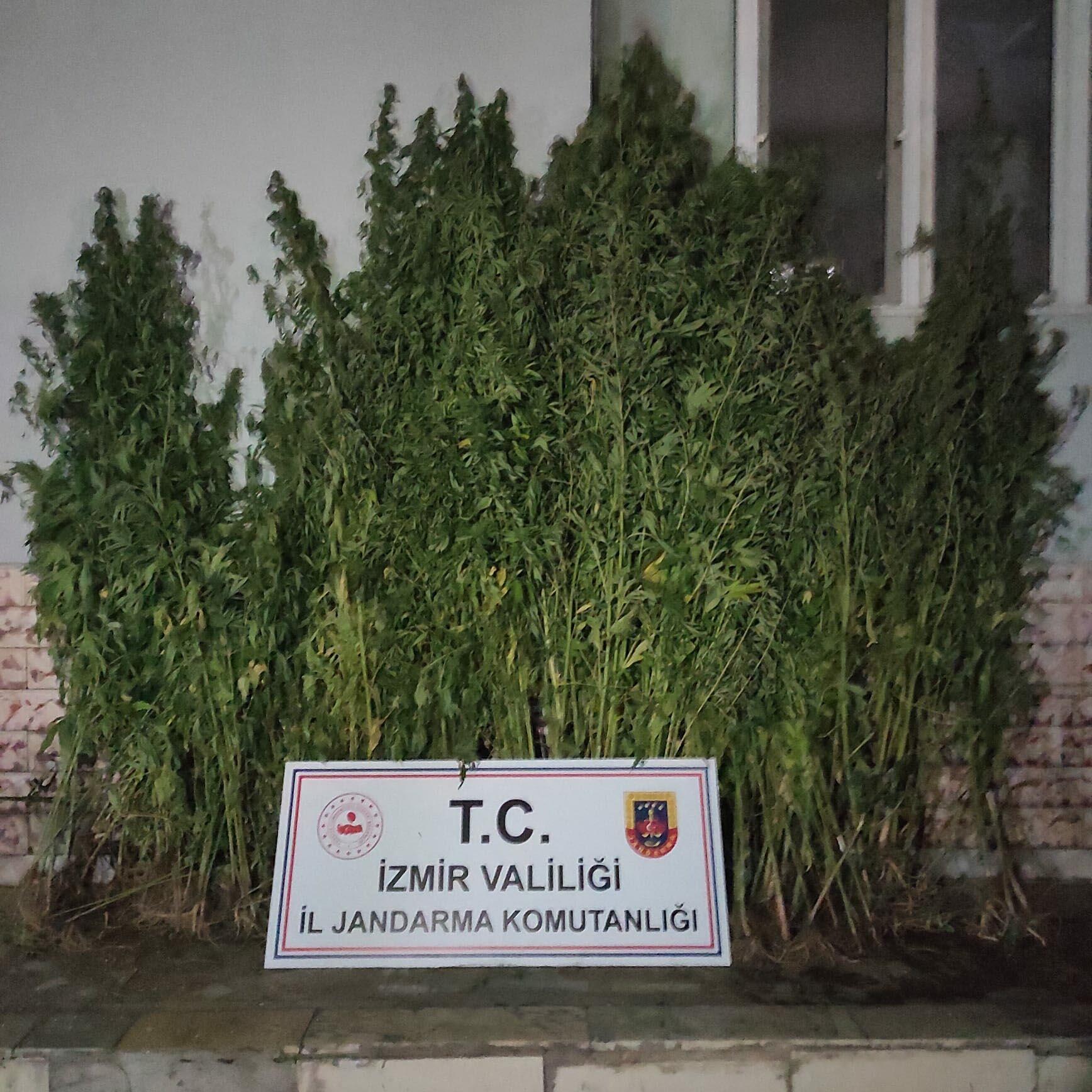 İzmirde uyuşturucu operasyonu: 20 gözaltı