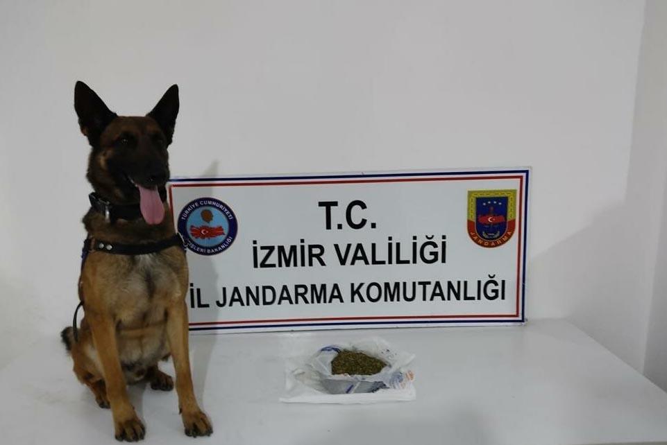 İzmirde uyuşturucu operasyonu: 20 gözaltı