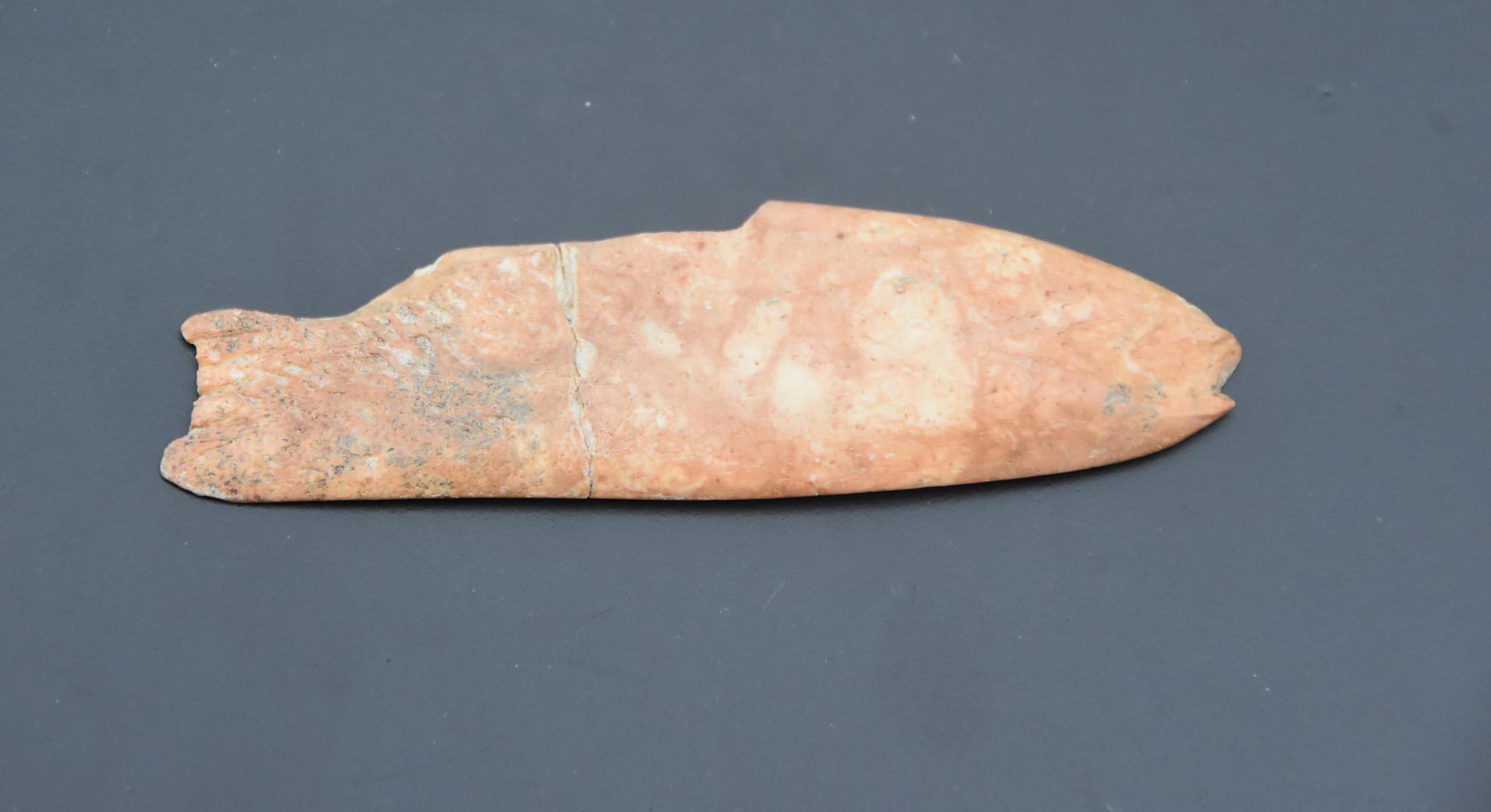 8 bin yıl öncesine ait balık figürü bulundu