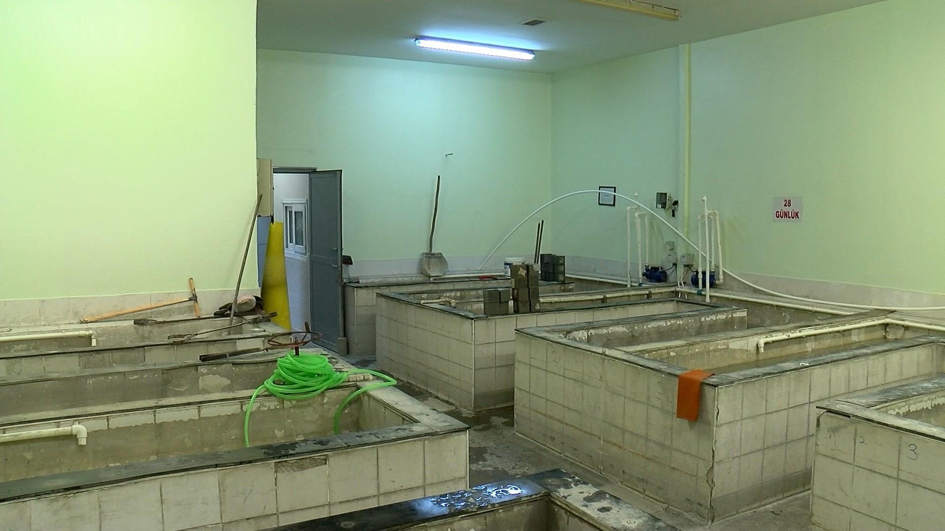 Karot laboratuvarında ürküten sonuç: 2000 öncesi yapılarda tahta ve deniz kabuğu çıktı