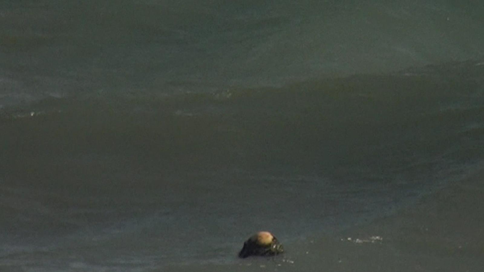 Çocukların ceset ihbarındaki cisim şamandıra çıktı