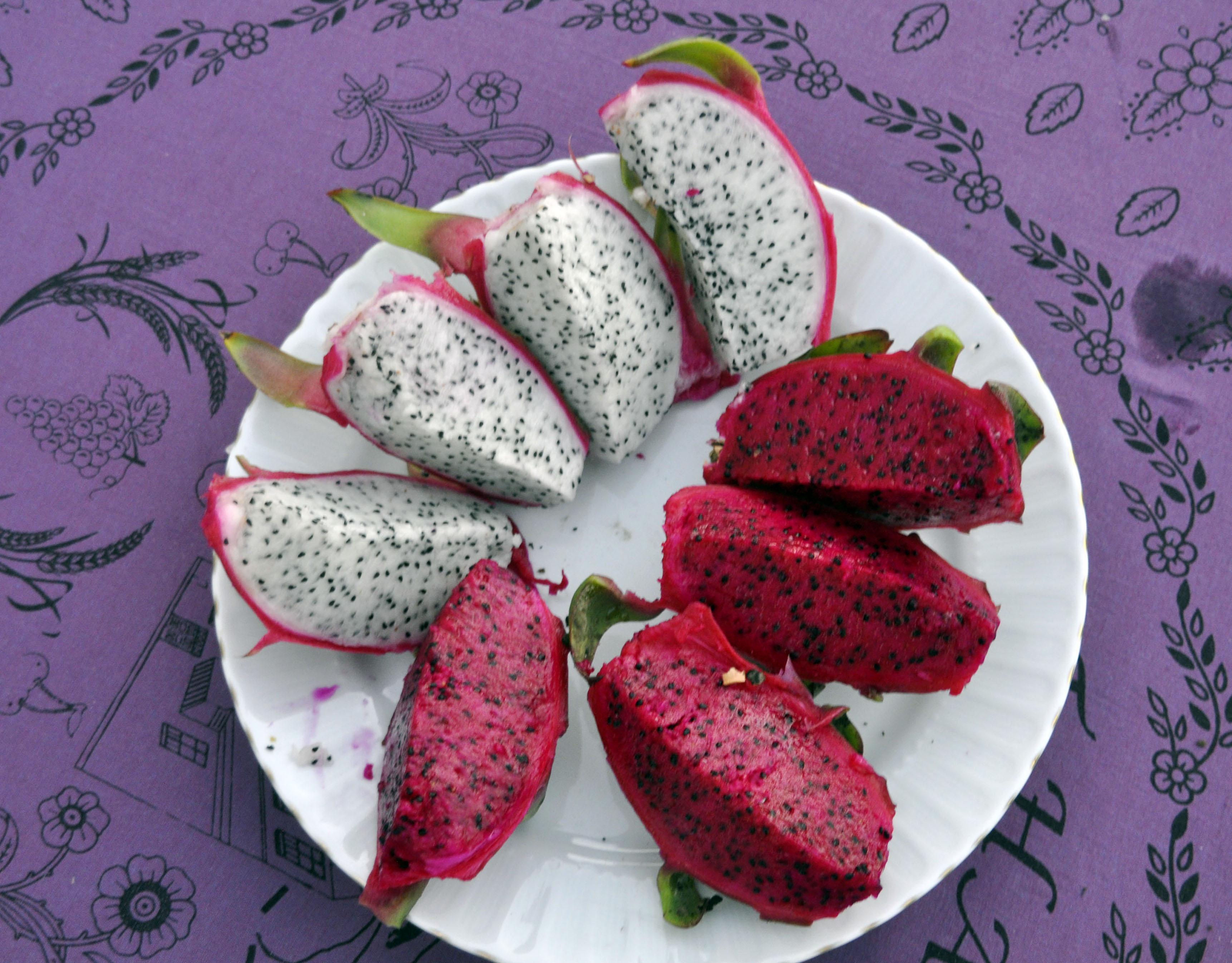 Narenciye bahçeleri, ejder meyvesi serasına dönüşüyor