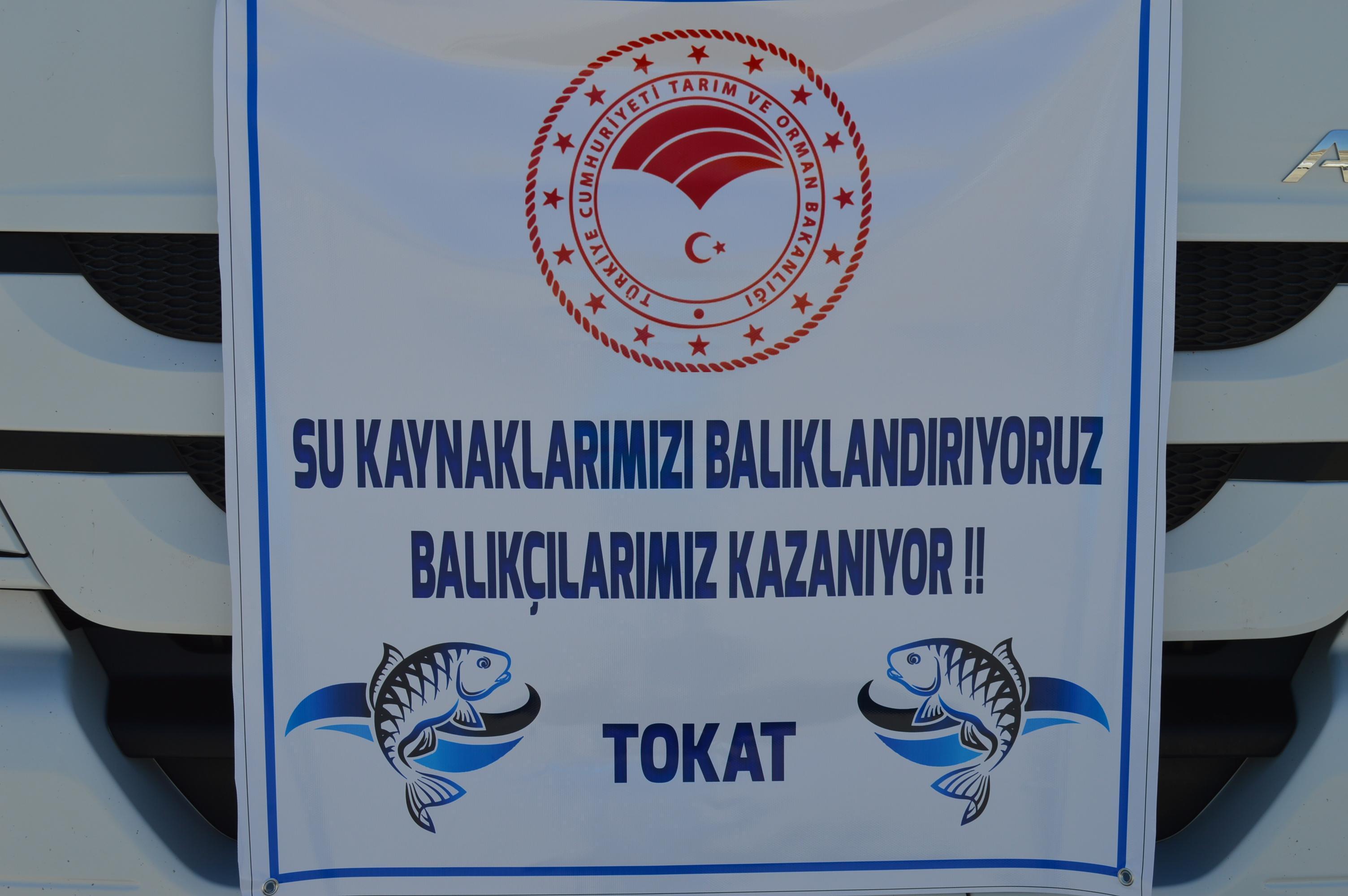 Elazığda üretilen 12 milyon sazan yavrusu 17 kente gönderildi