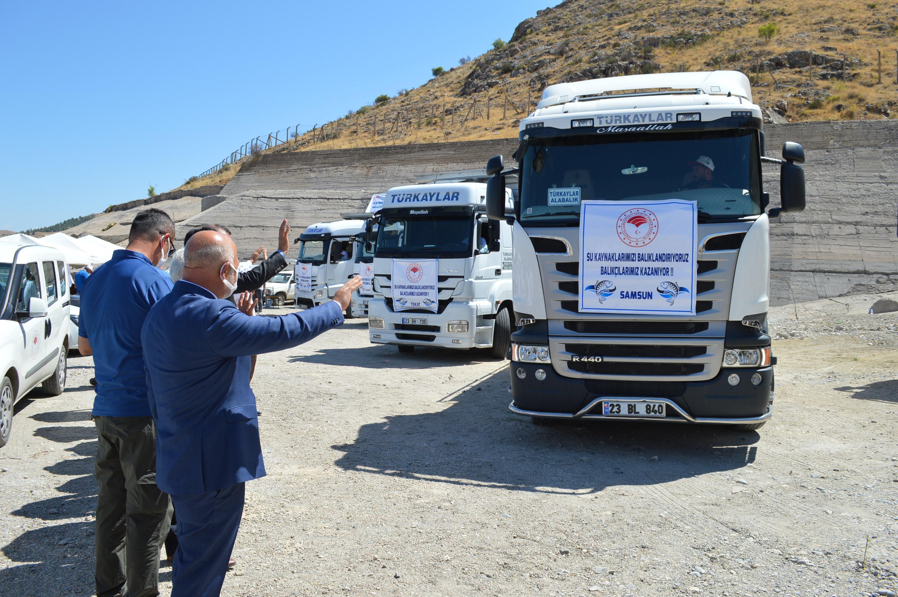 Elazığda üretilen 12 milyon sazan yavrusu 17 kente gönderildi