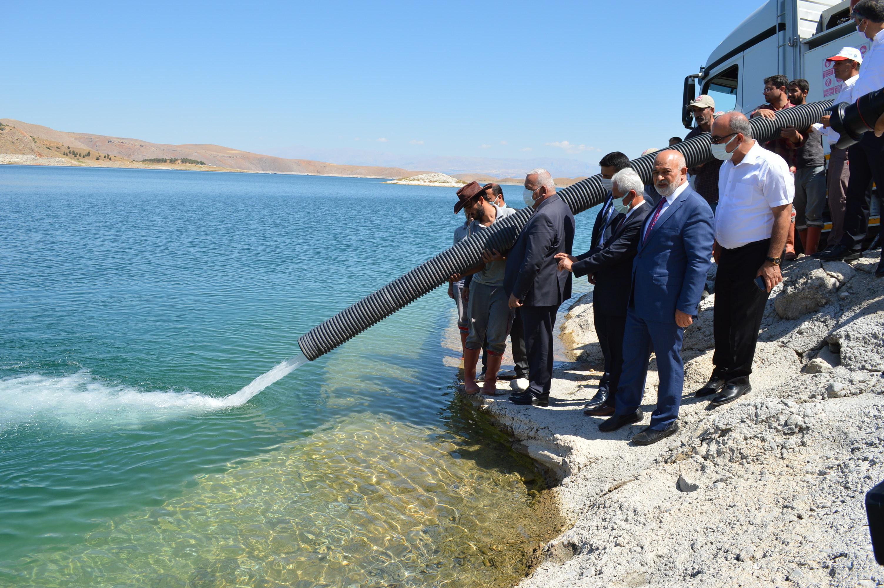 Elazığda üretilen 12 milyon sazan yavrusu 17 kente gönderildi