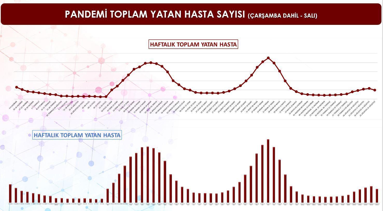 İstanbulun aşı raporu: En fazla Kadıköy, en az Sultanbeyli