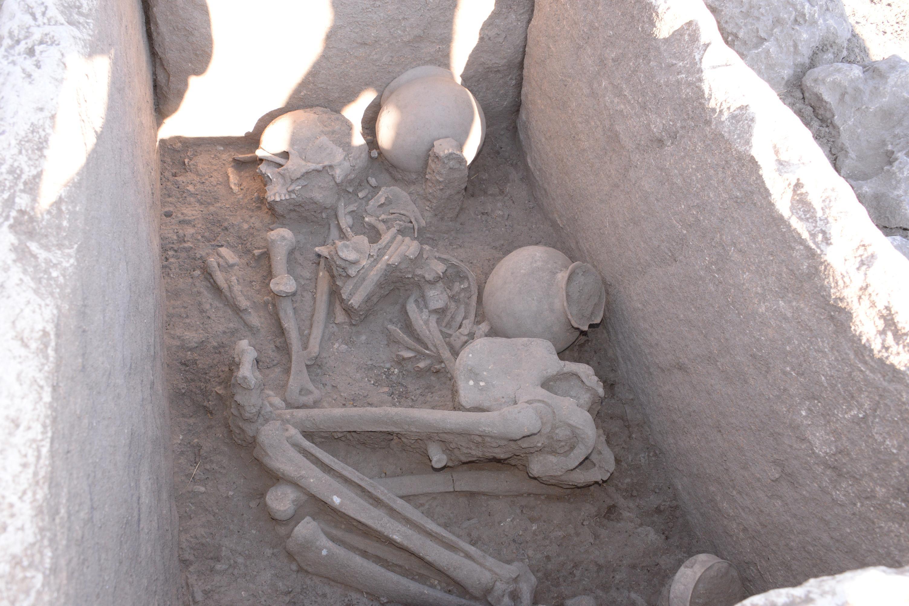 Çayönü Höyüğünde 5 bin yıllık sandık mezar bulundu