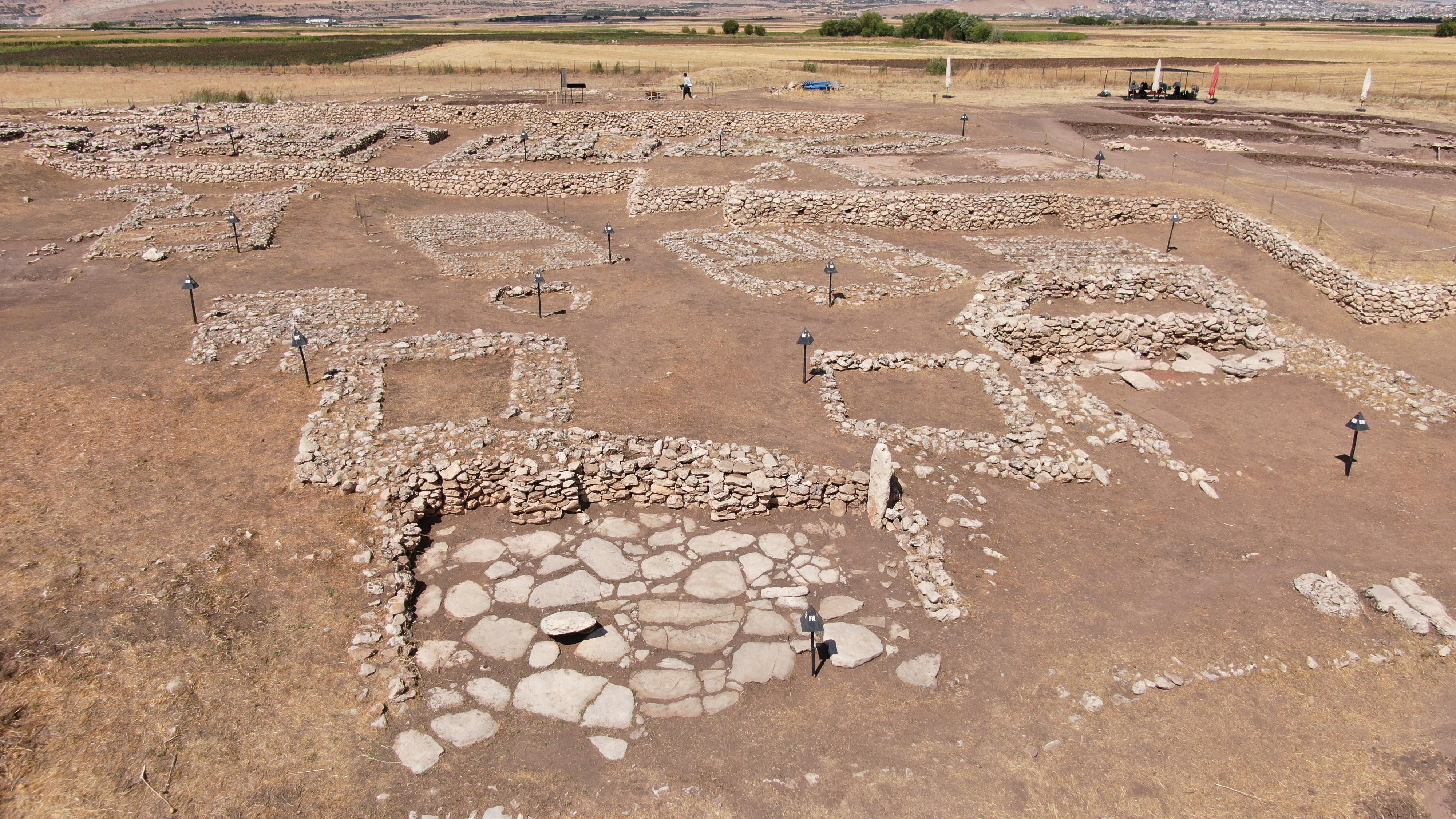 Çayönü Höyüğünde 5 bin yıllık sandık mezar bulundu